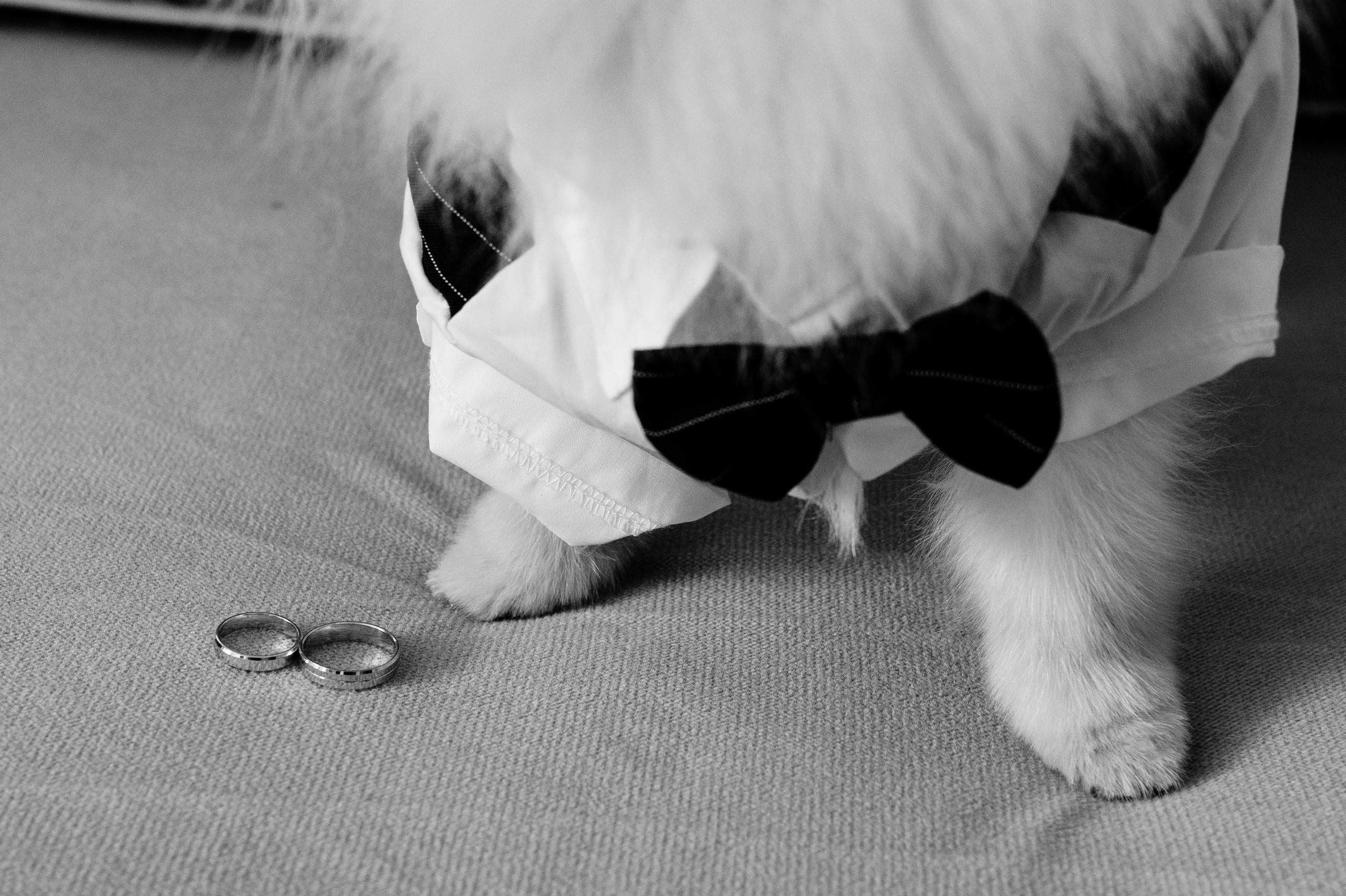 Мое портфолио за 2025 год. Свадебный фотограф СПБ