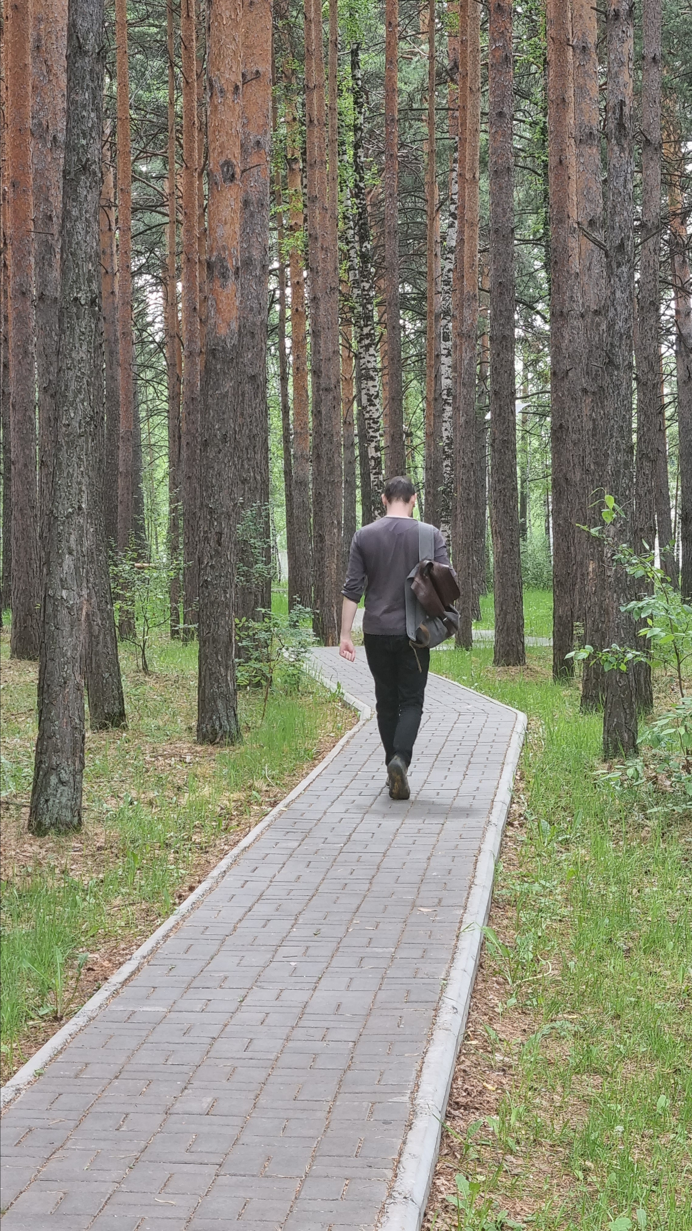 Тритмент — Мир сумок. Фотограф Яковлев Роман — Красноярск