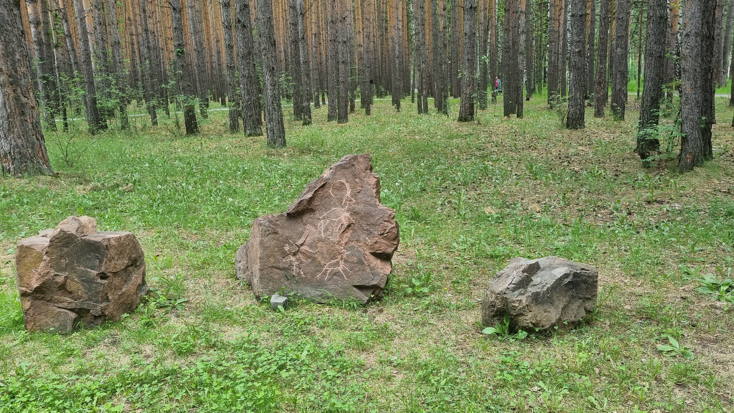 Тритмент — Мир сумок. Фотограф Яковлев Роман — Красноярск