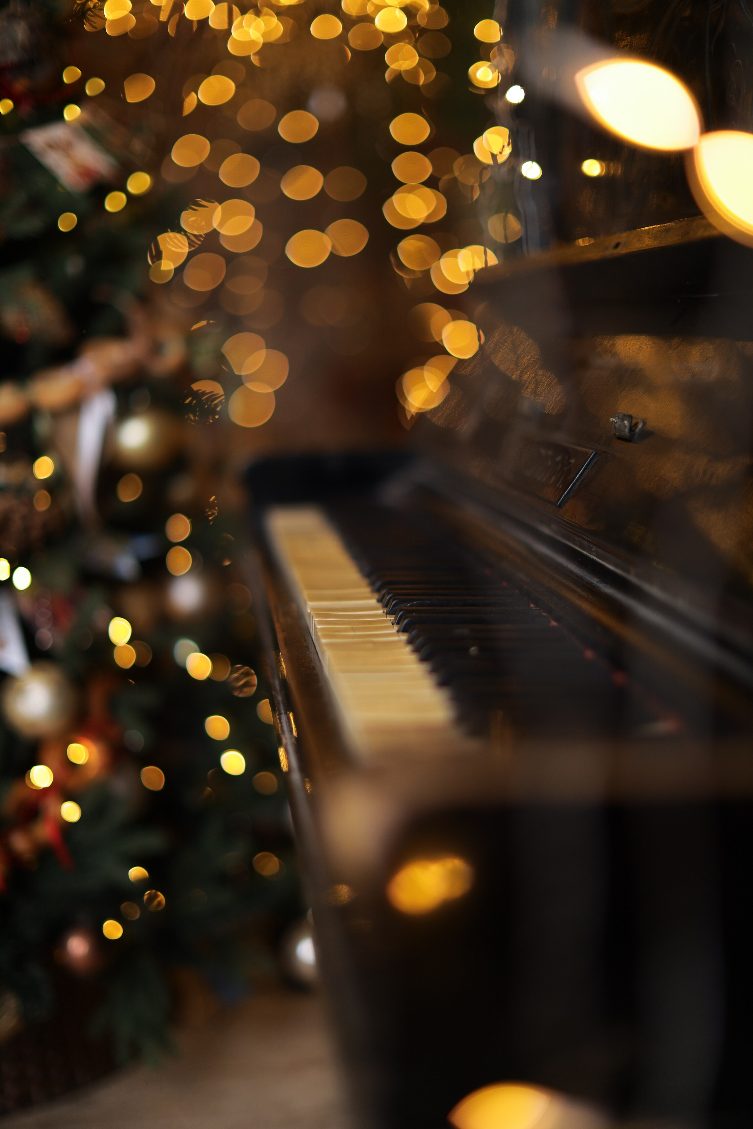 Фотостудия «Роял» зал Теплица. Свадебный фотограф в Ростове Александра Груздева