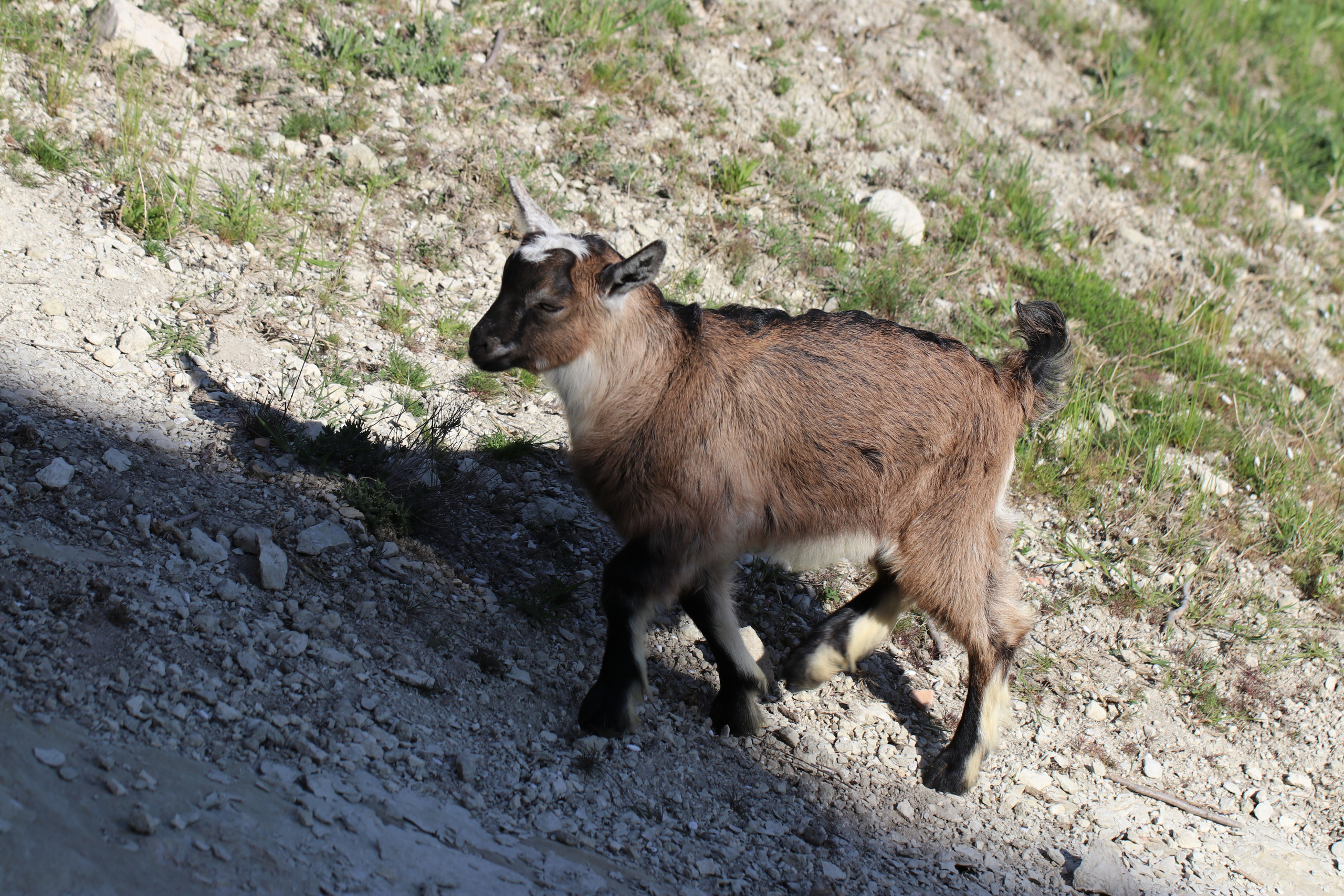 Крым. ЮБК (Бахчисарай, Кастрополь, Таракташская тропа). Май 2021. Путешественник-фотограф из Санкт-Петербурга Татьяна Свистулина