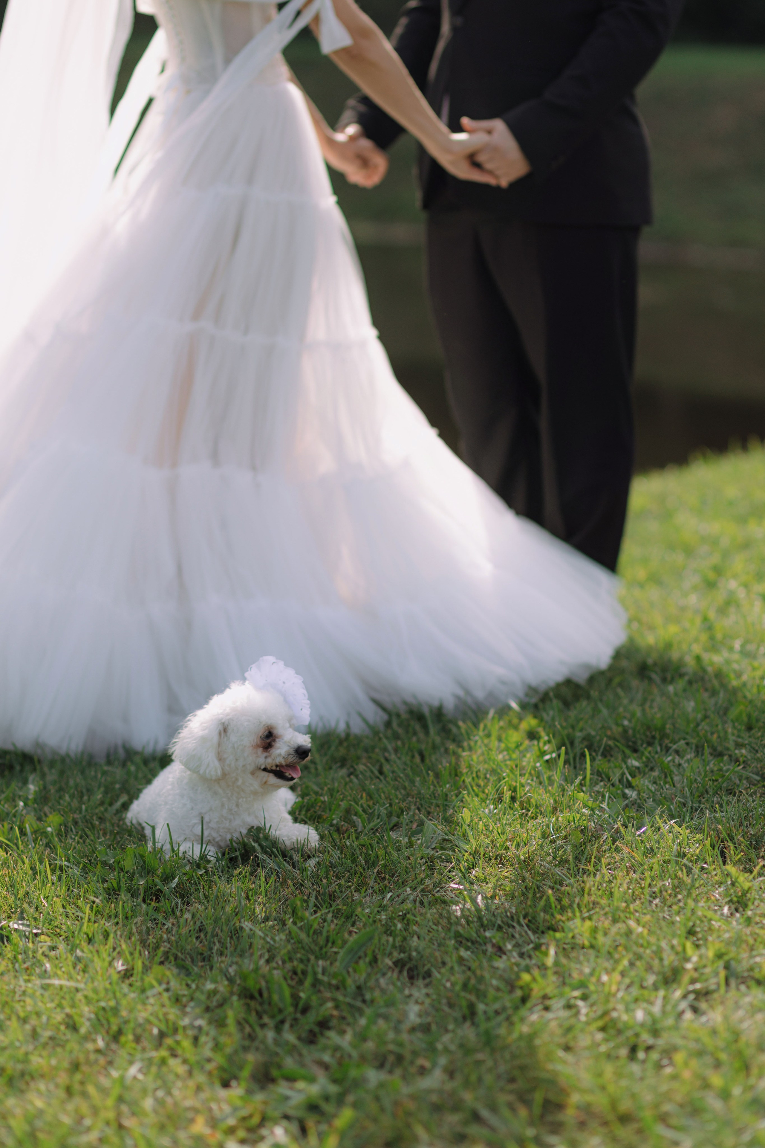 Artem & Anastasia. Главная