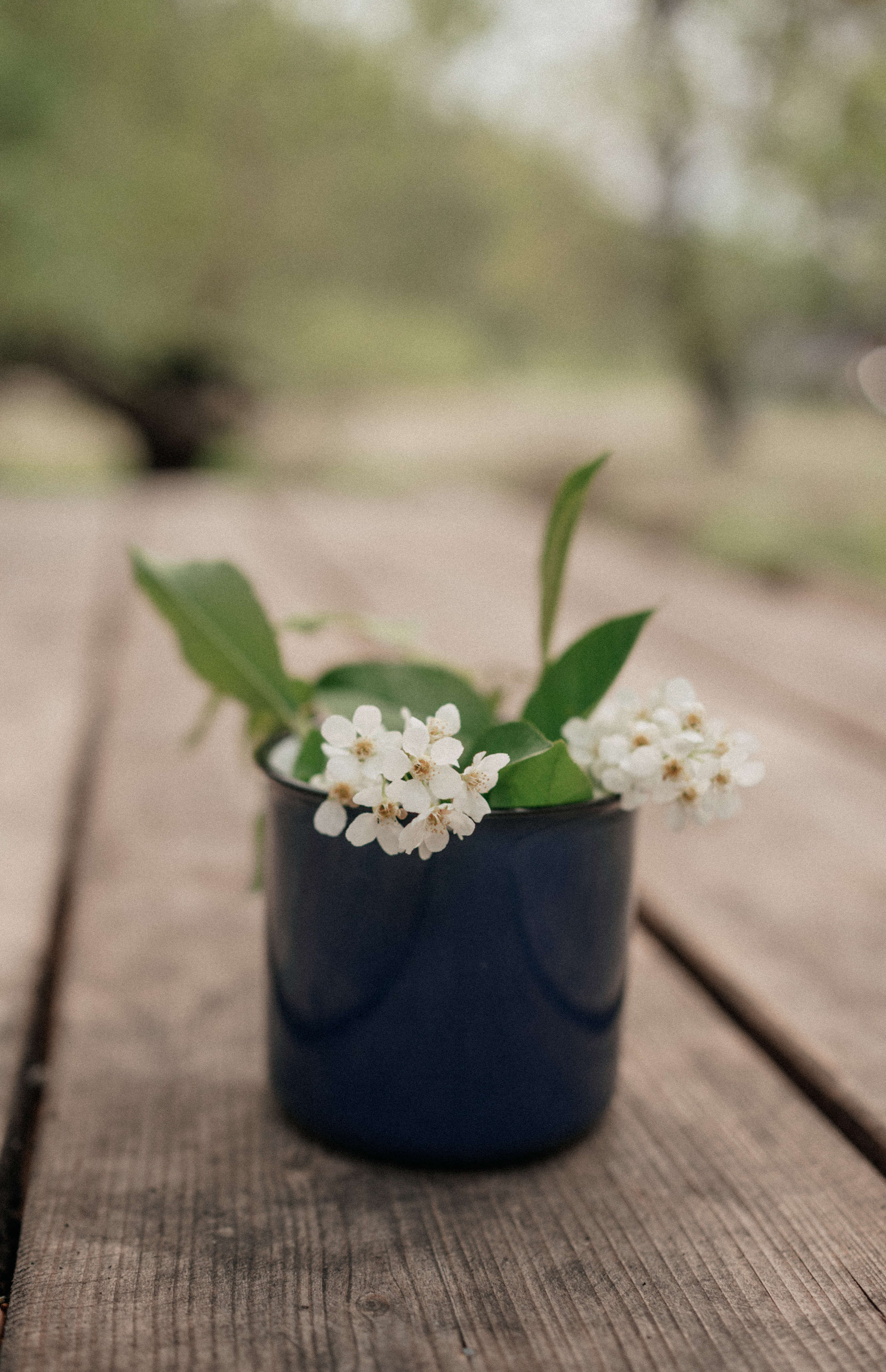 Тур на Алтай, май 2022. Семейный фотограф, фотосессия беременности в Новосибирске Кристина Киб