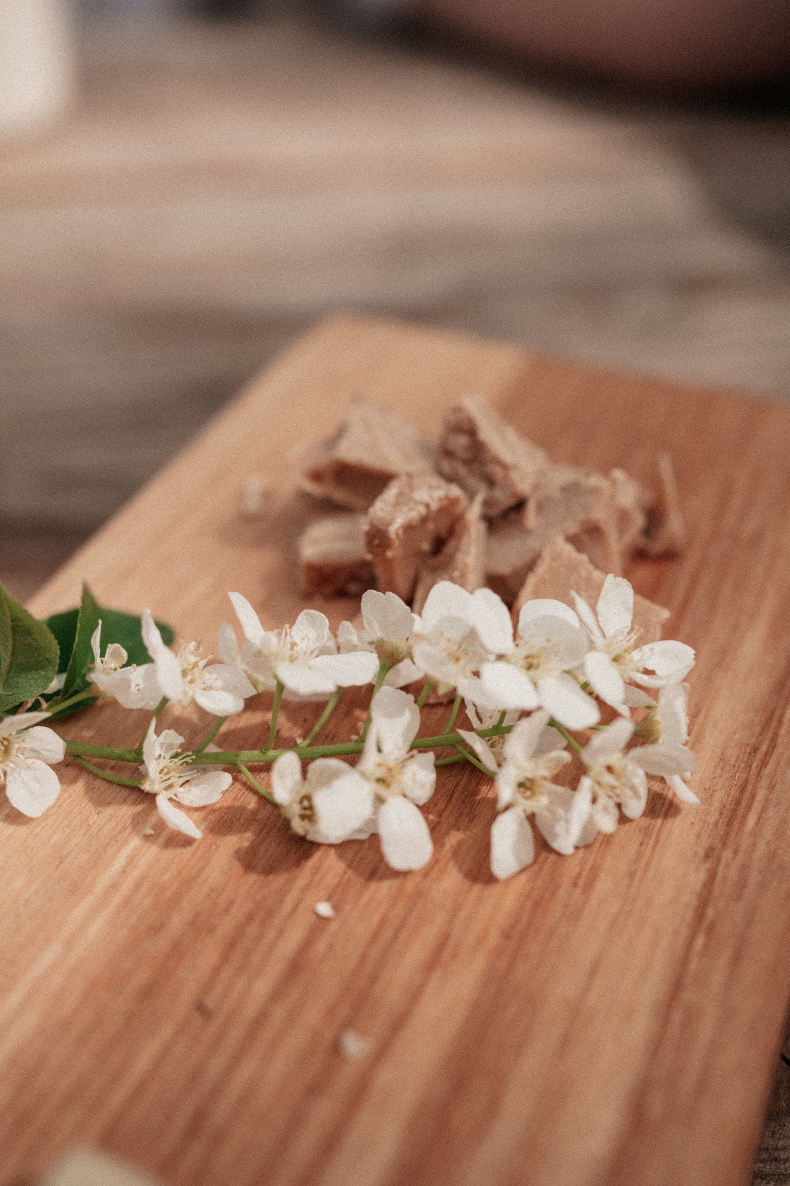 Тур на Алтай, май 2022. Семейный фотограф, фотосессия беременности в Новосибирске Кристина Киб