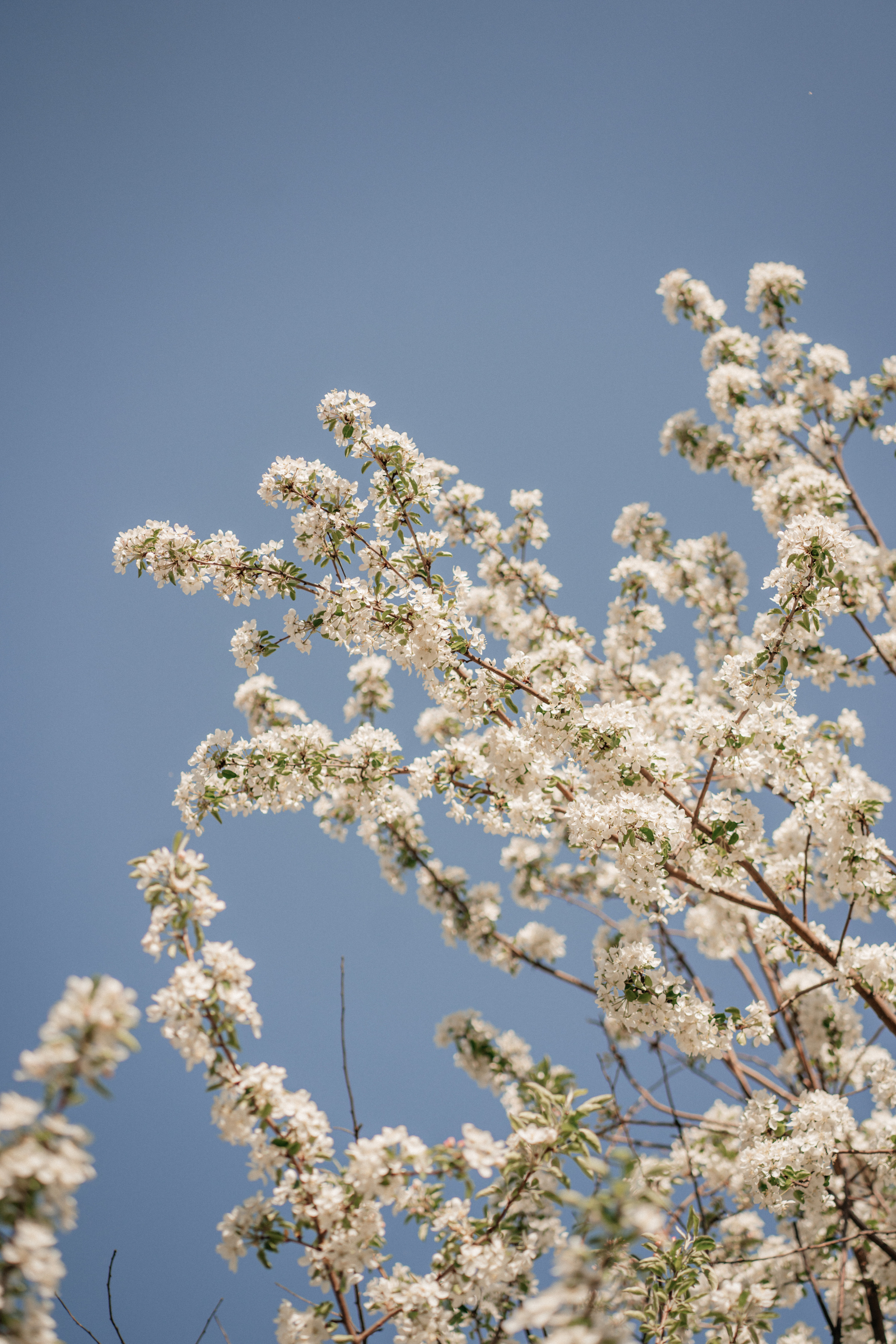 Тур на Алтай, май 2022. Семейный фотограф, фотосессия беременности в Новосибирске Кристина Киб