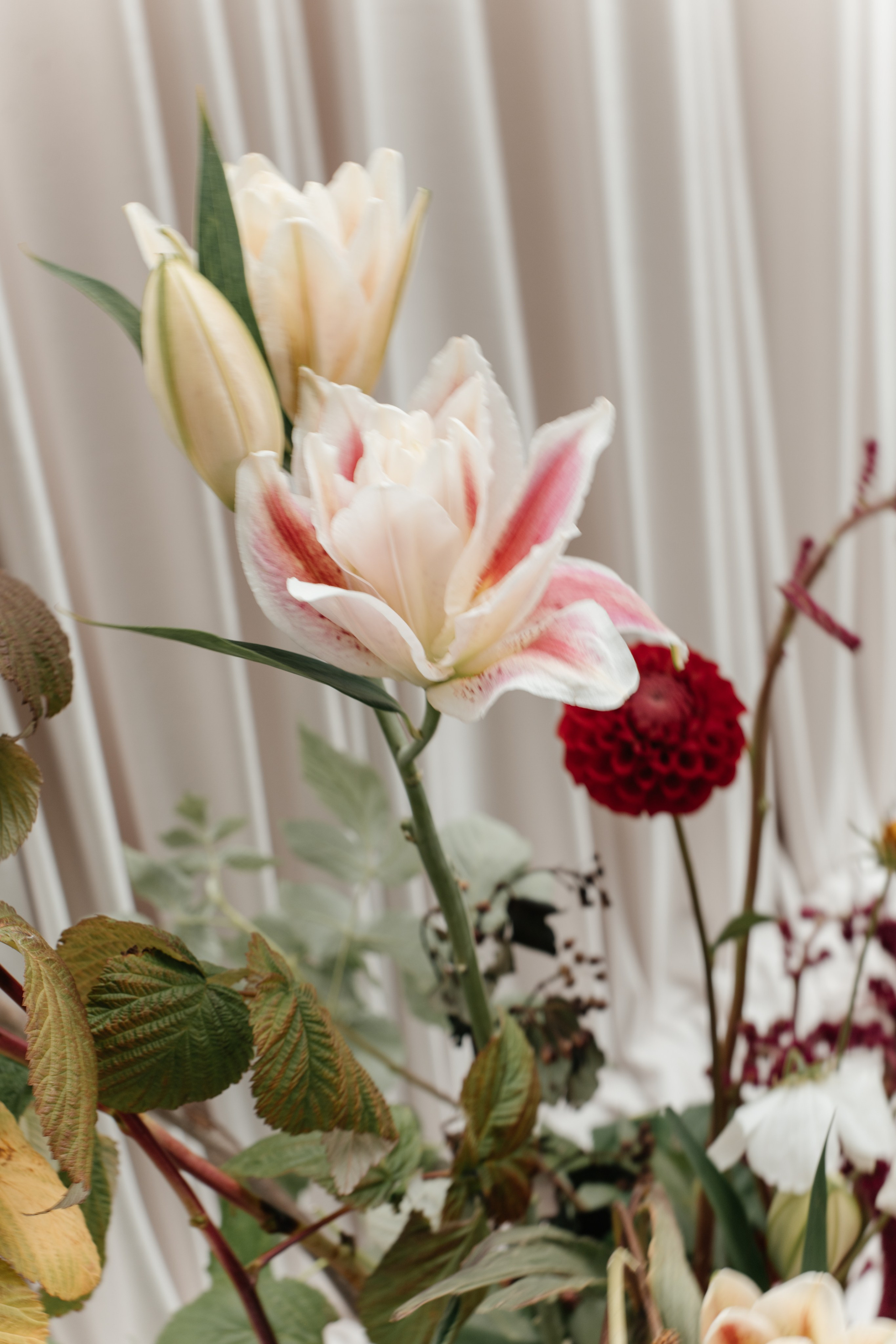 DENIS & MARIA. Свадебное ФОТО & ВИДЕО Москва/Липецк