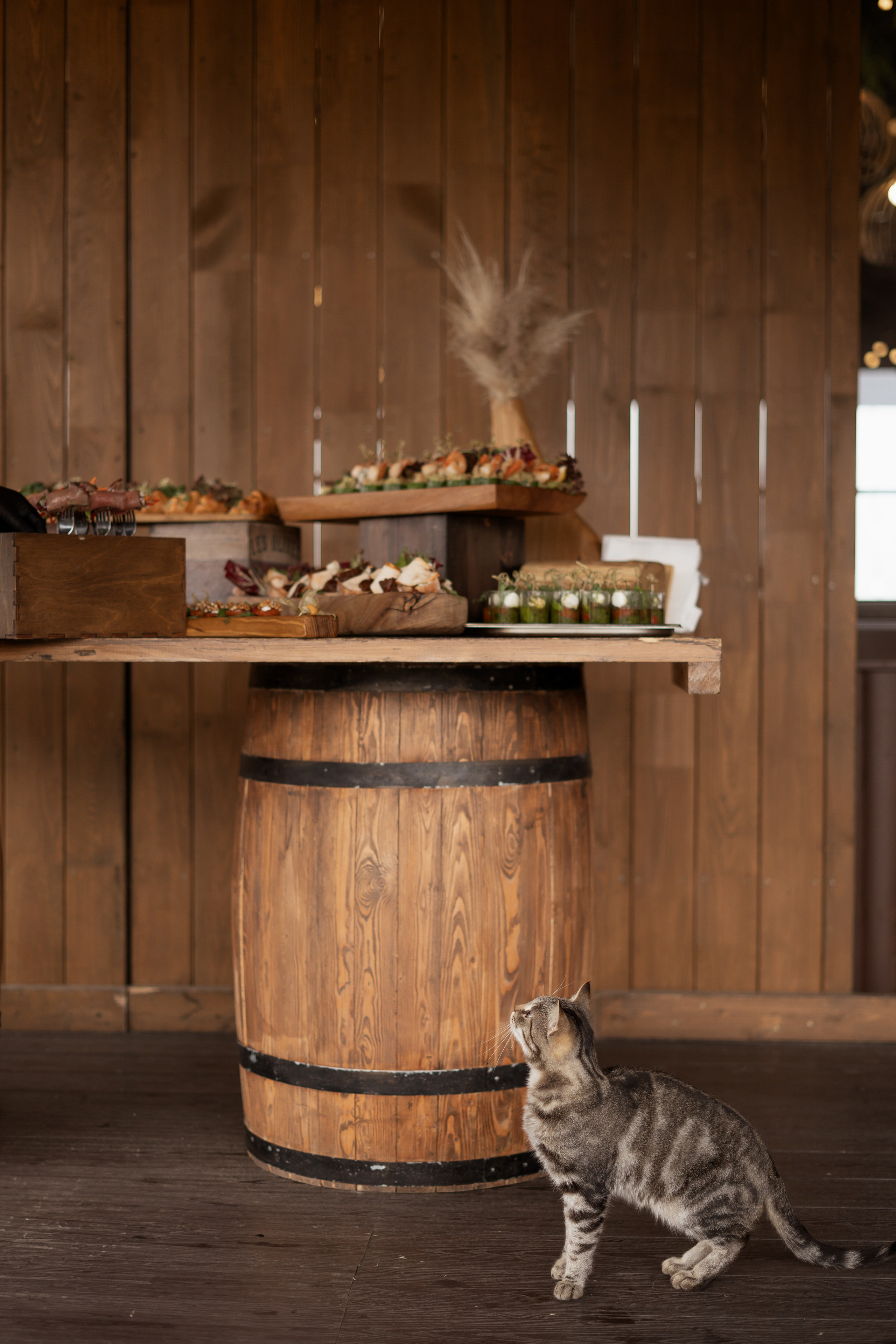 Владислав и Юлия. Свадебный фотограф в Москве