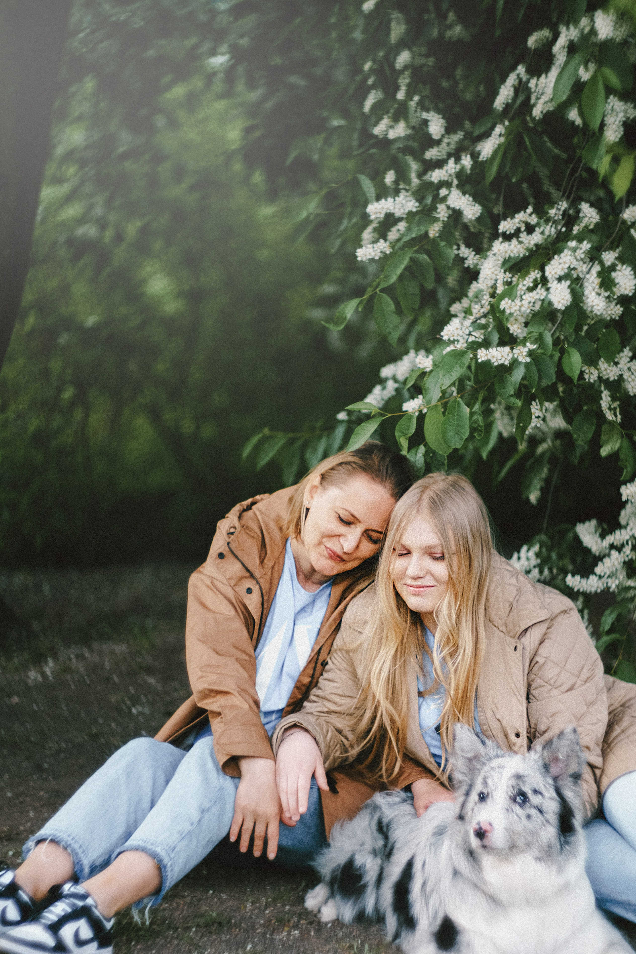Света, Катрин и Умка. Фотограф анималист в Москве и Санкт-Петербурге Свиридова Анна