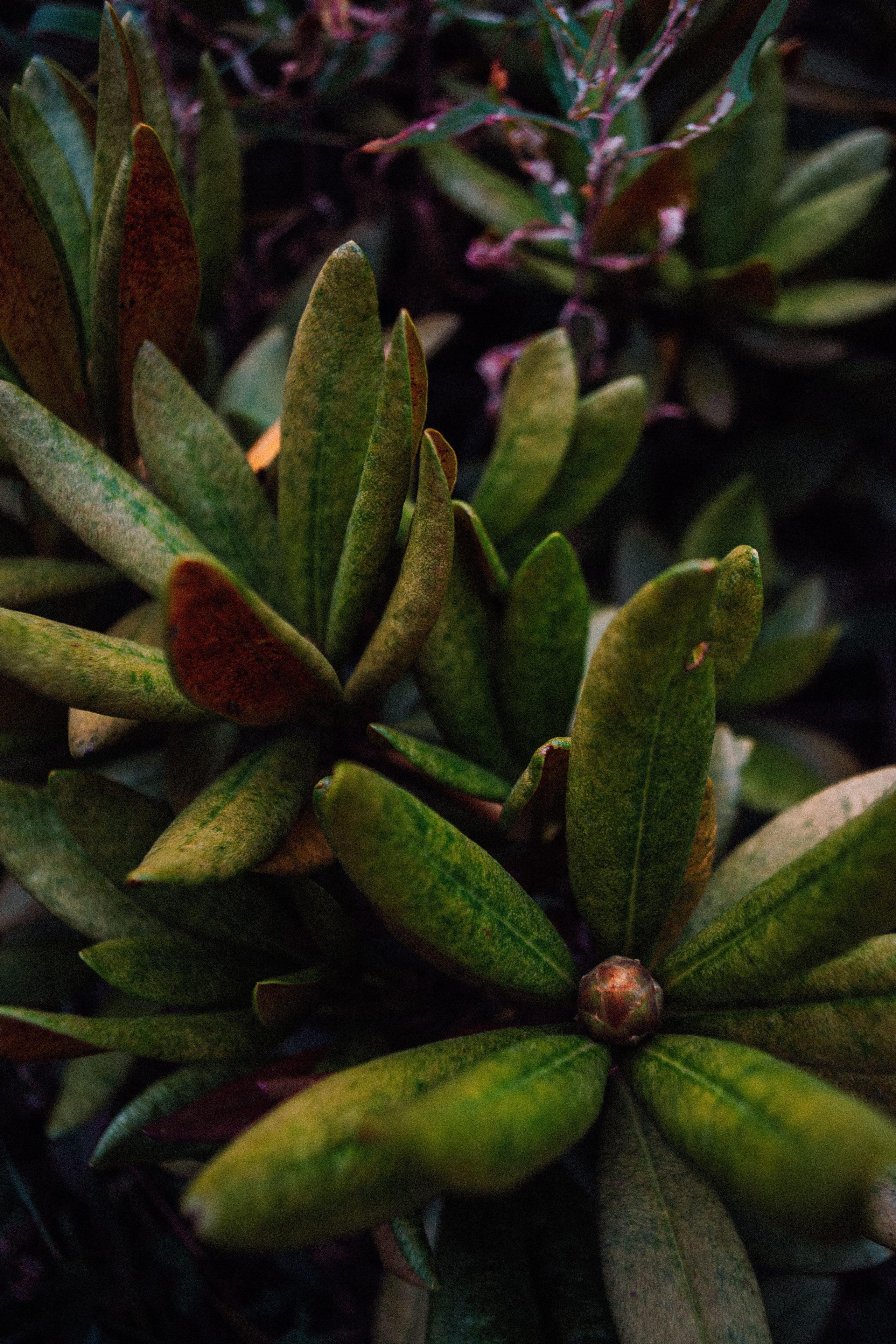 Дигория | Северная Осетия. Фотограф Настя | Экспедиции и лайфстайл