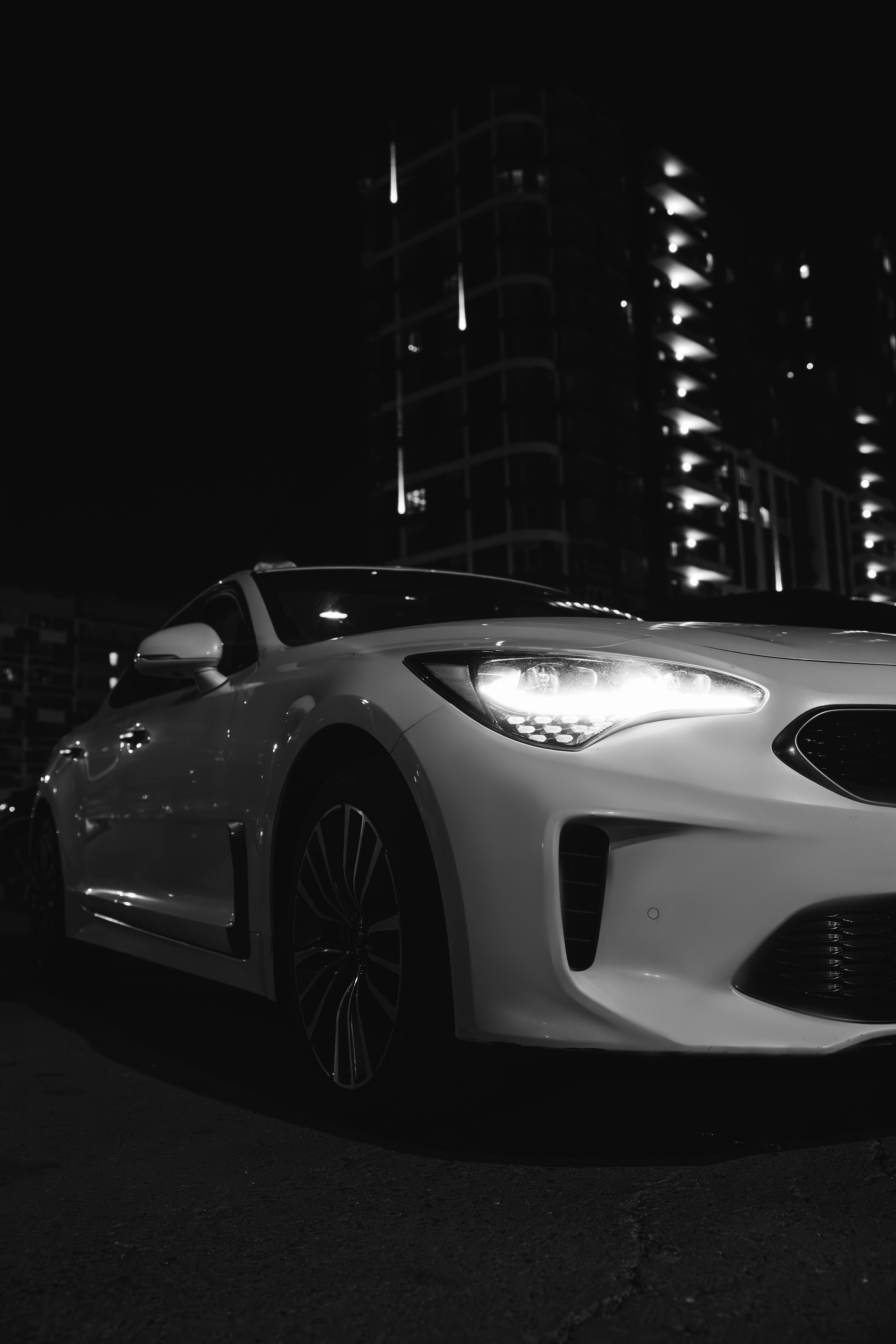 . Фотограф Арина Елизарова