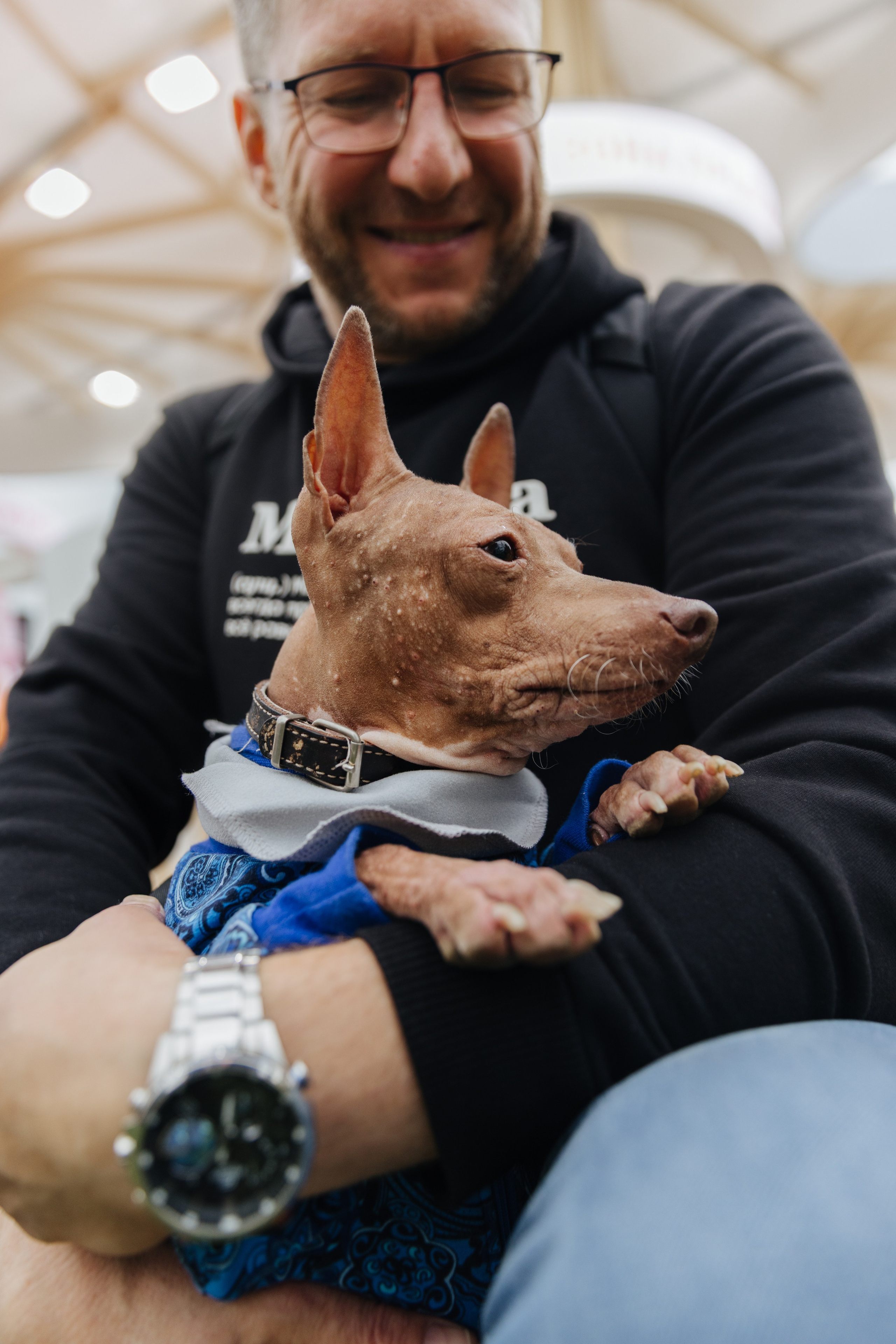 Хвостатый репортаж. Аксана Лисовская фотограф в Москве. Фотографии с характером