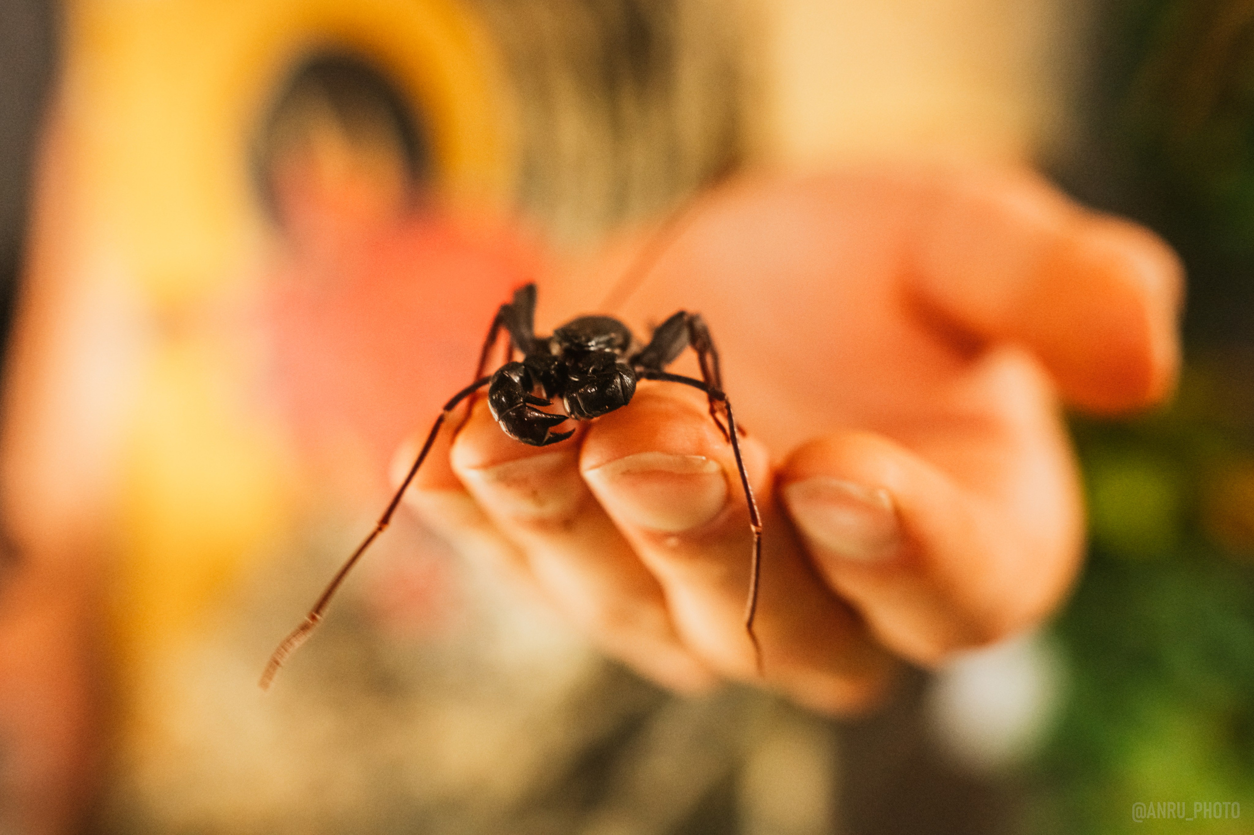 Рептилиум. Репортажный фотограф Анастасия Рубцова