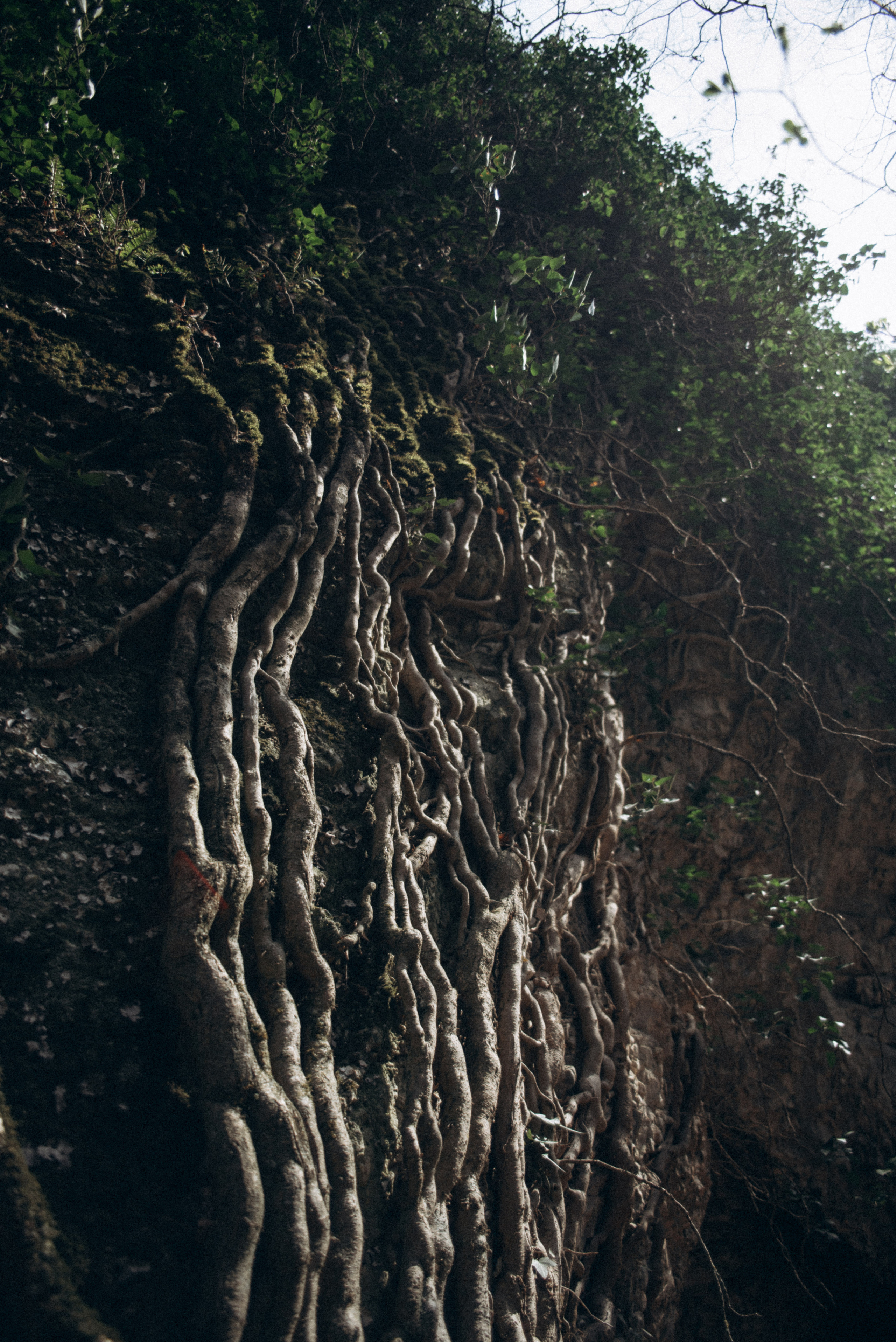 Каньоны Биртвиси, Грузия🇬🇪. Anita_photo