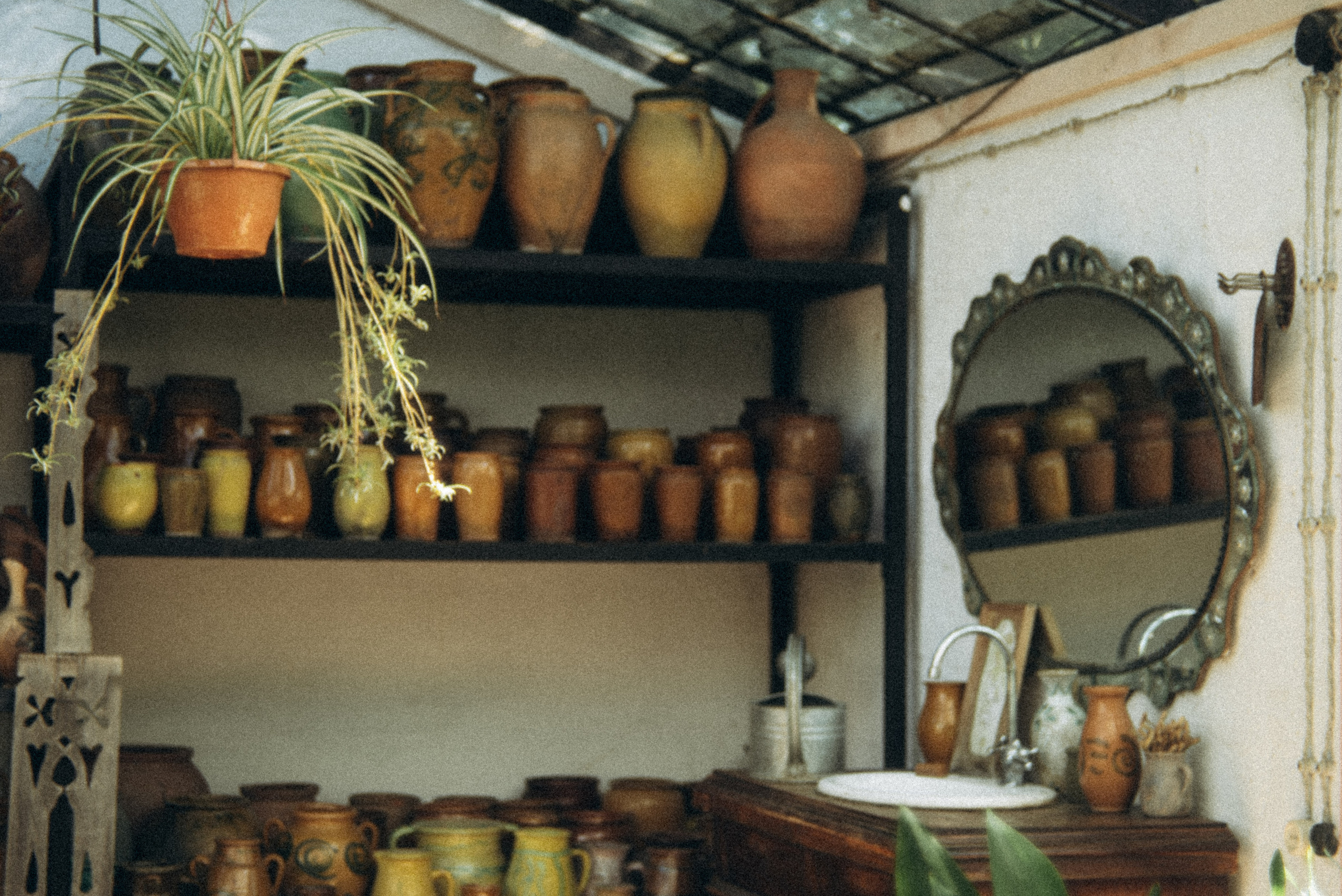 Сад «Гардения» Зураба Шеварднадзе в Тбилиси 🇬🇪. Anita_photo