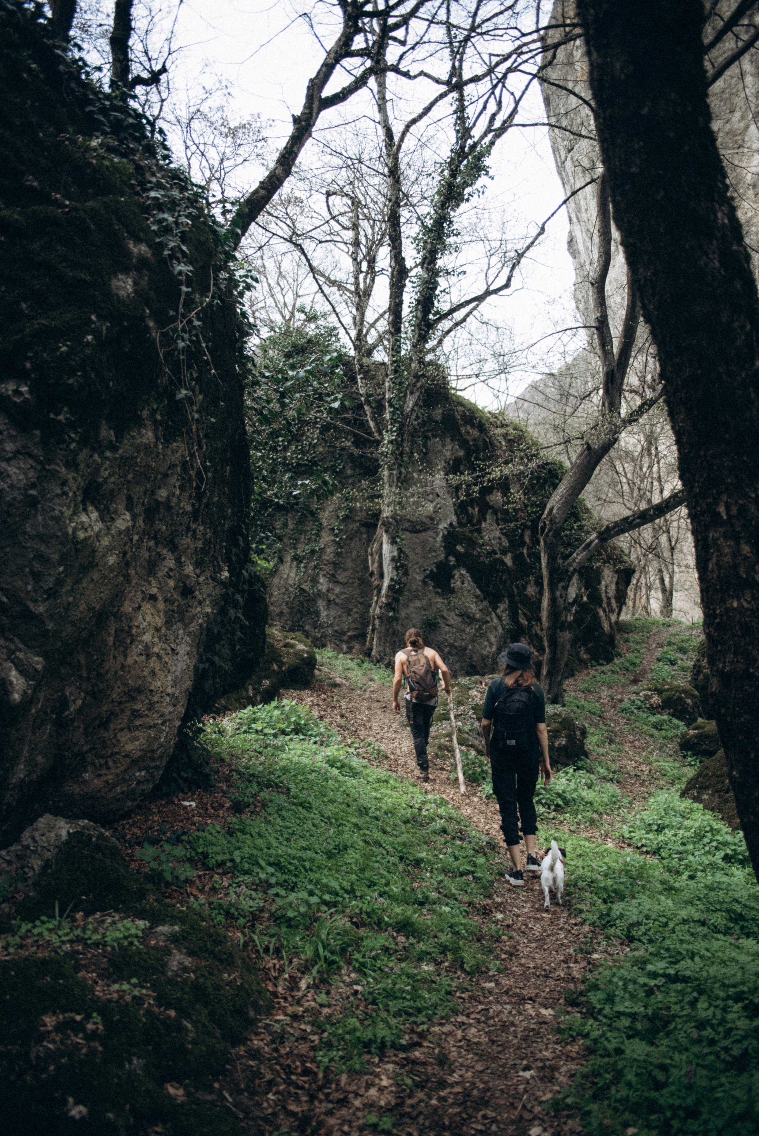 Каньоны Биртвиси, Грузия🇬🇪. Anita_photo