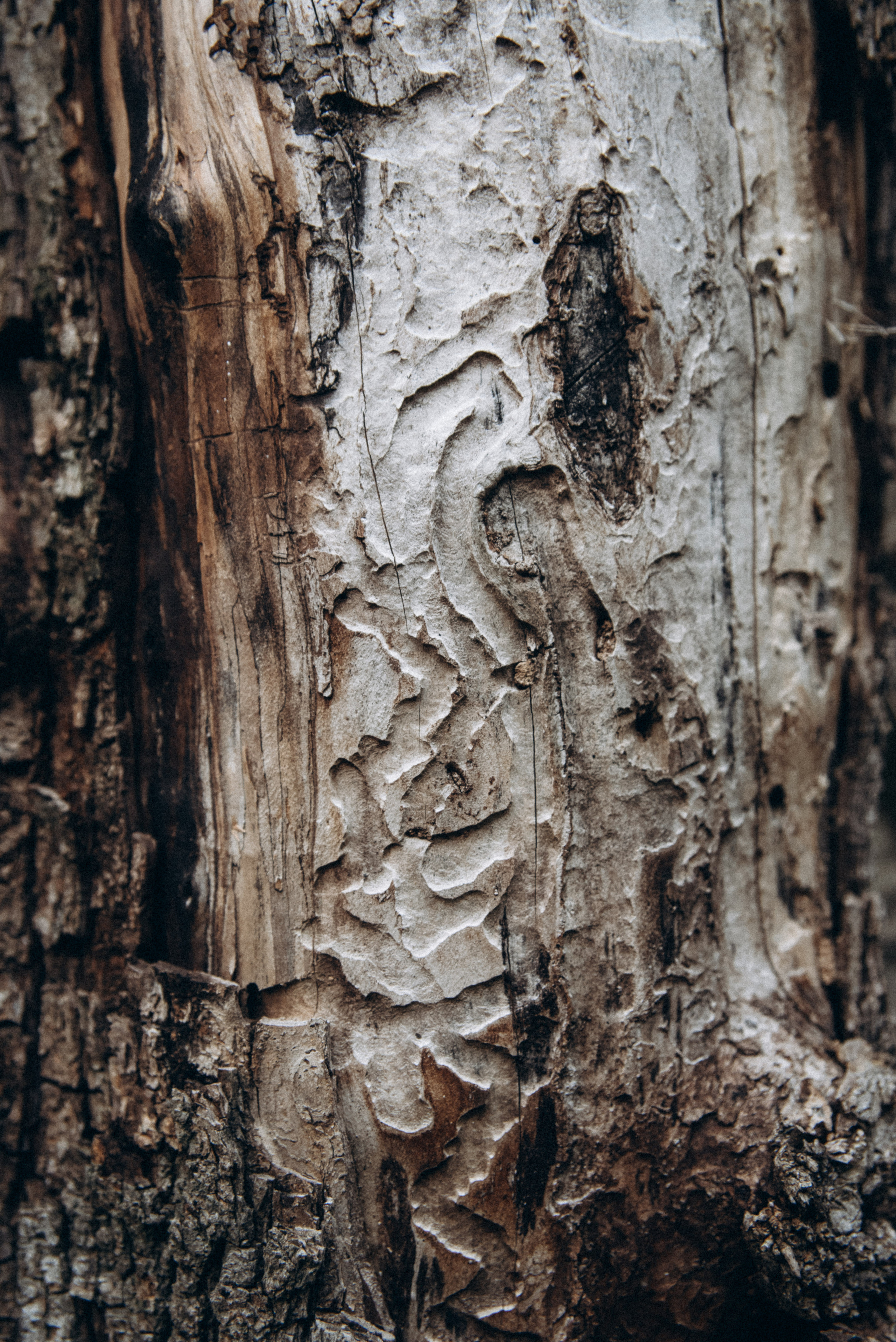 Каньоны Биртвиси, Грузия🇬🇪. Anita_photo