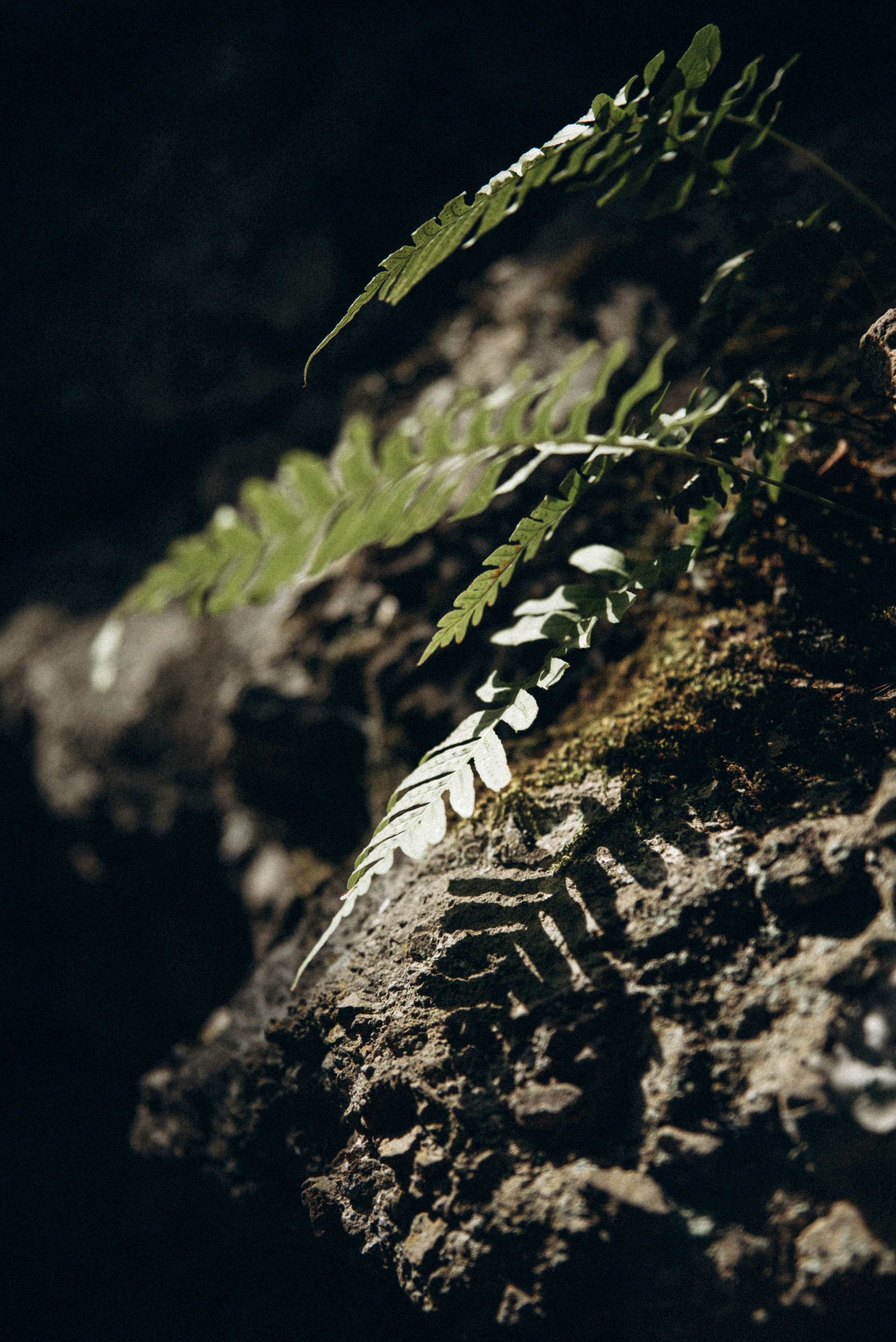 Каньоны Биртвиси, Грузия🇬🇪. Anita_photo