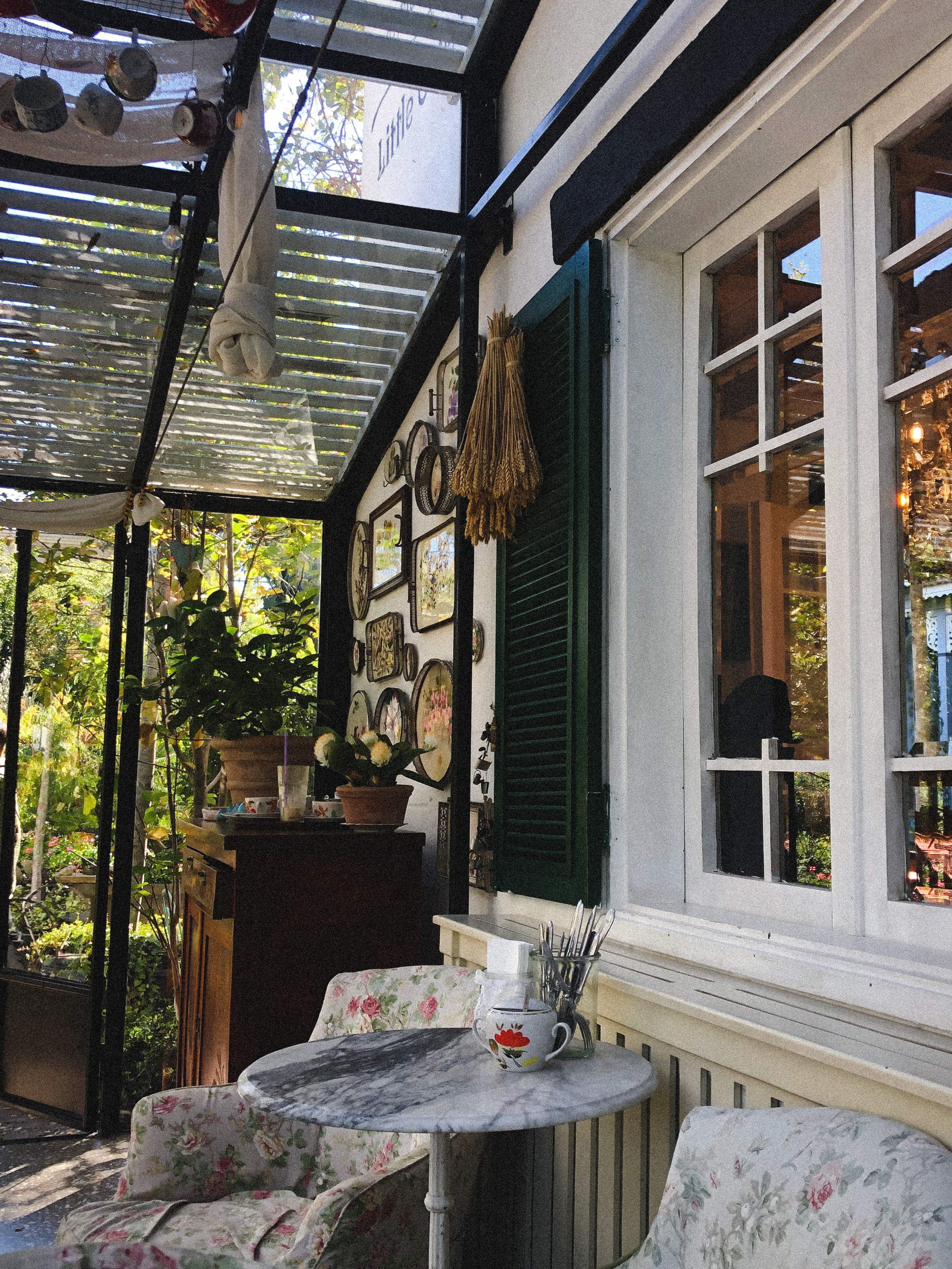 Сад «Гардения» Зураба Шеварднадзе в Тбилиси 🇬🇪. Anita_photo