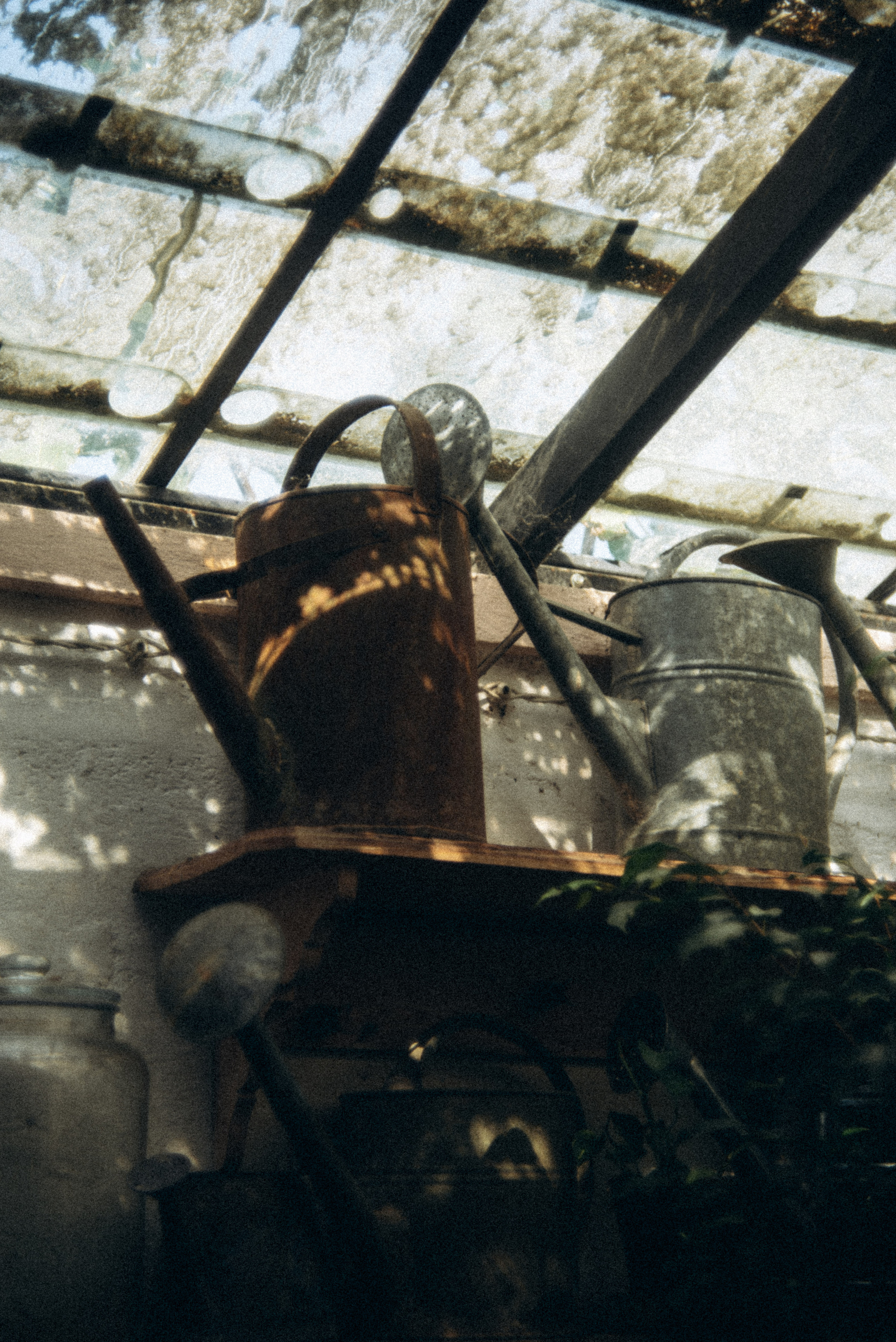 Сад «Гардения» Зураба Шеварднадзе в Тбилиси 🇬🇪. Anita_photo