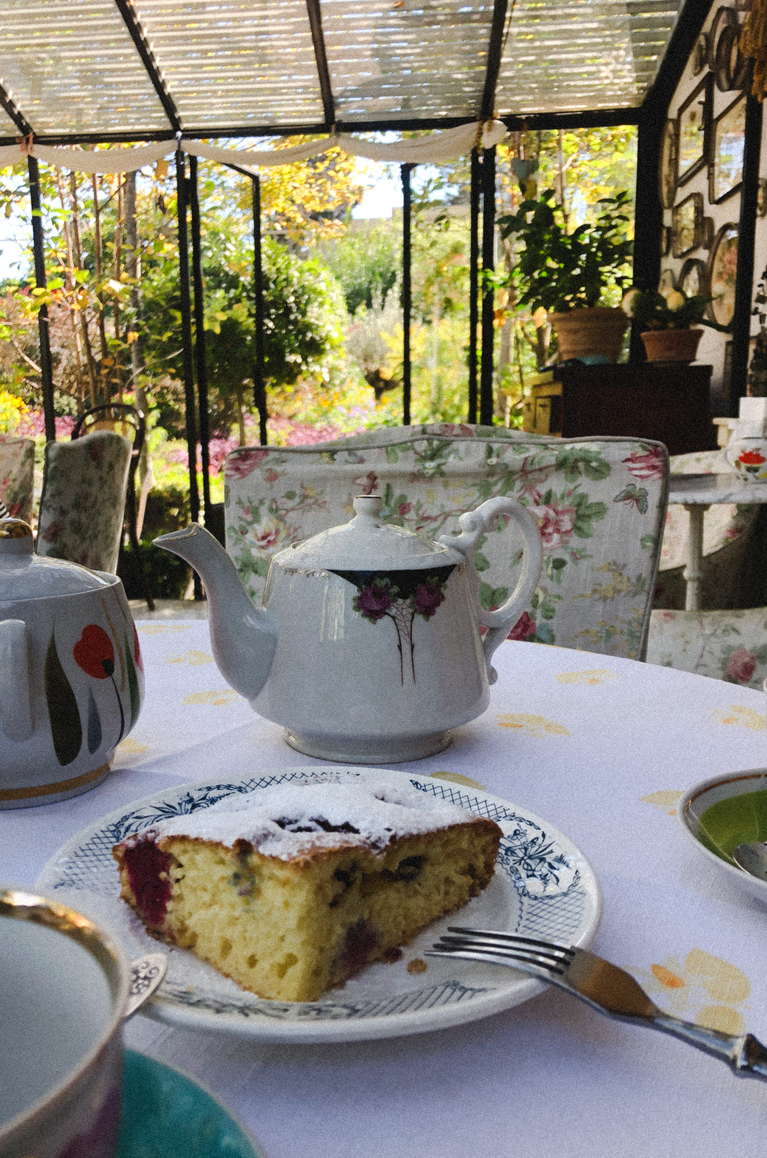 Сад «Гардения» Зураба Шеварднадзе в Тбилиси 🇬🇪. Anita_photo