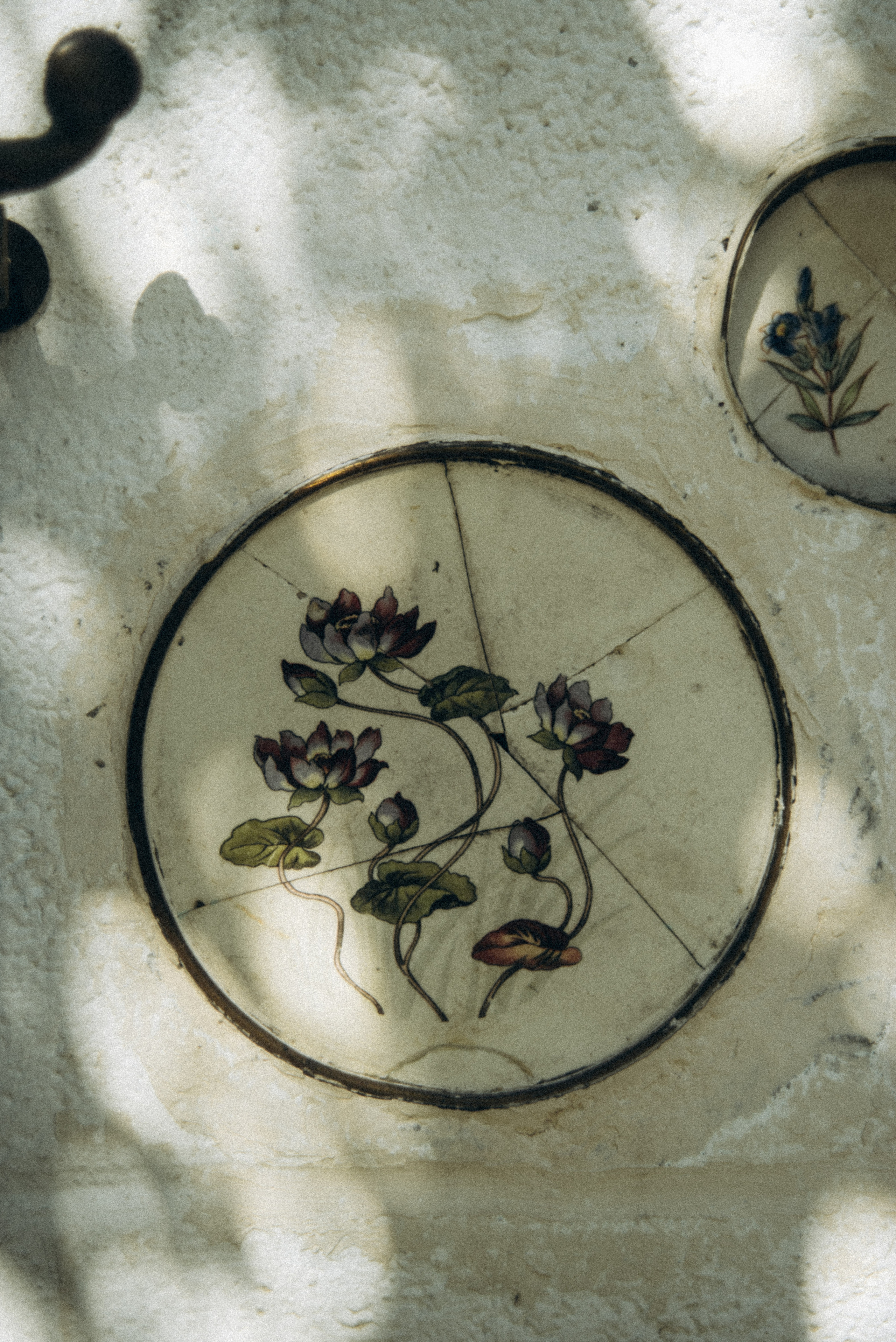 Сад «Гардения» Зураба Шеварднадзе в Тбилиси 🇬🇪. Anita_photo