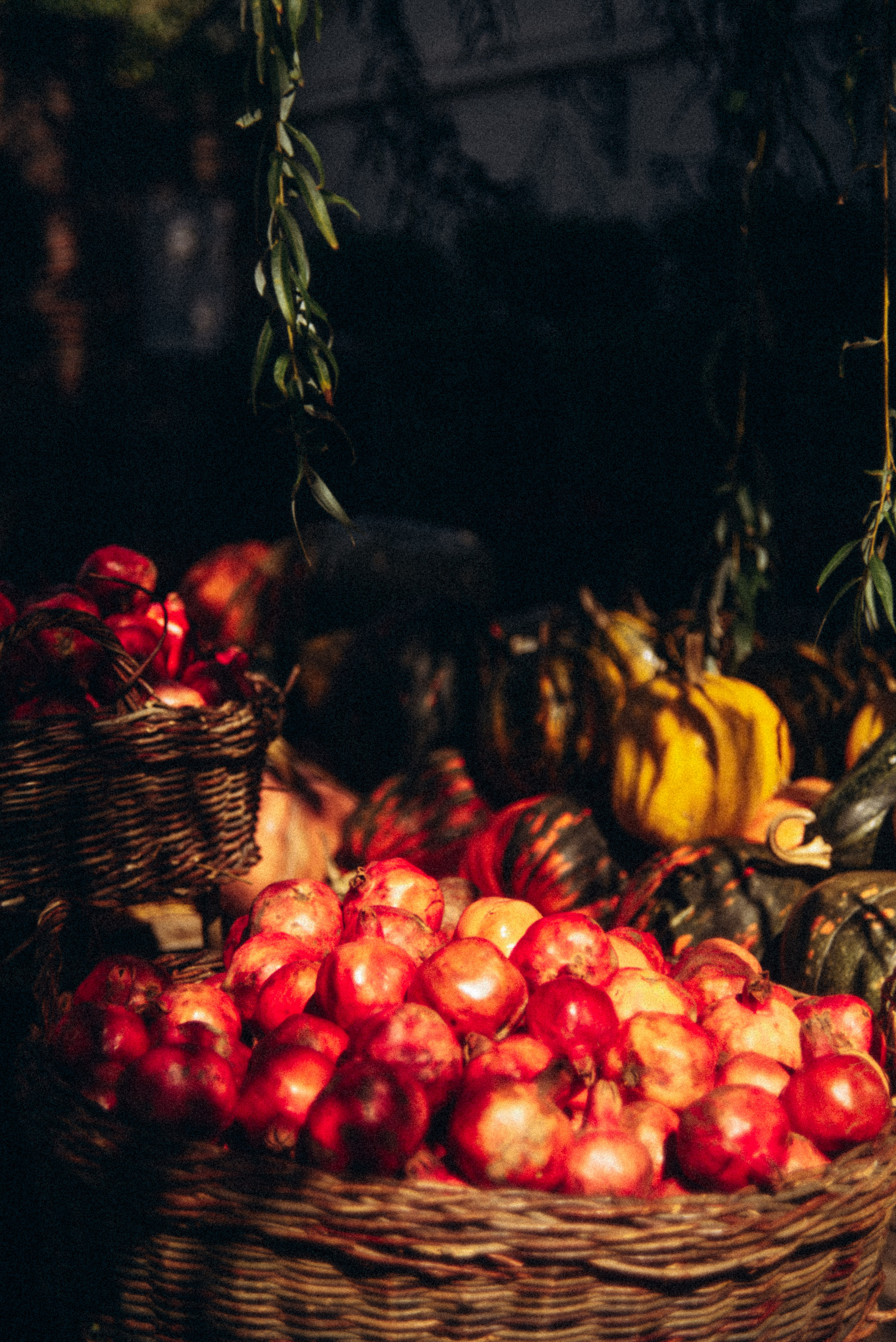 Сад «Гардения» Зураба Шеварднадзе в Тбилиси 🇬🇪. Anita_photo