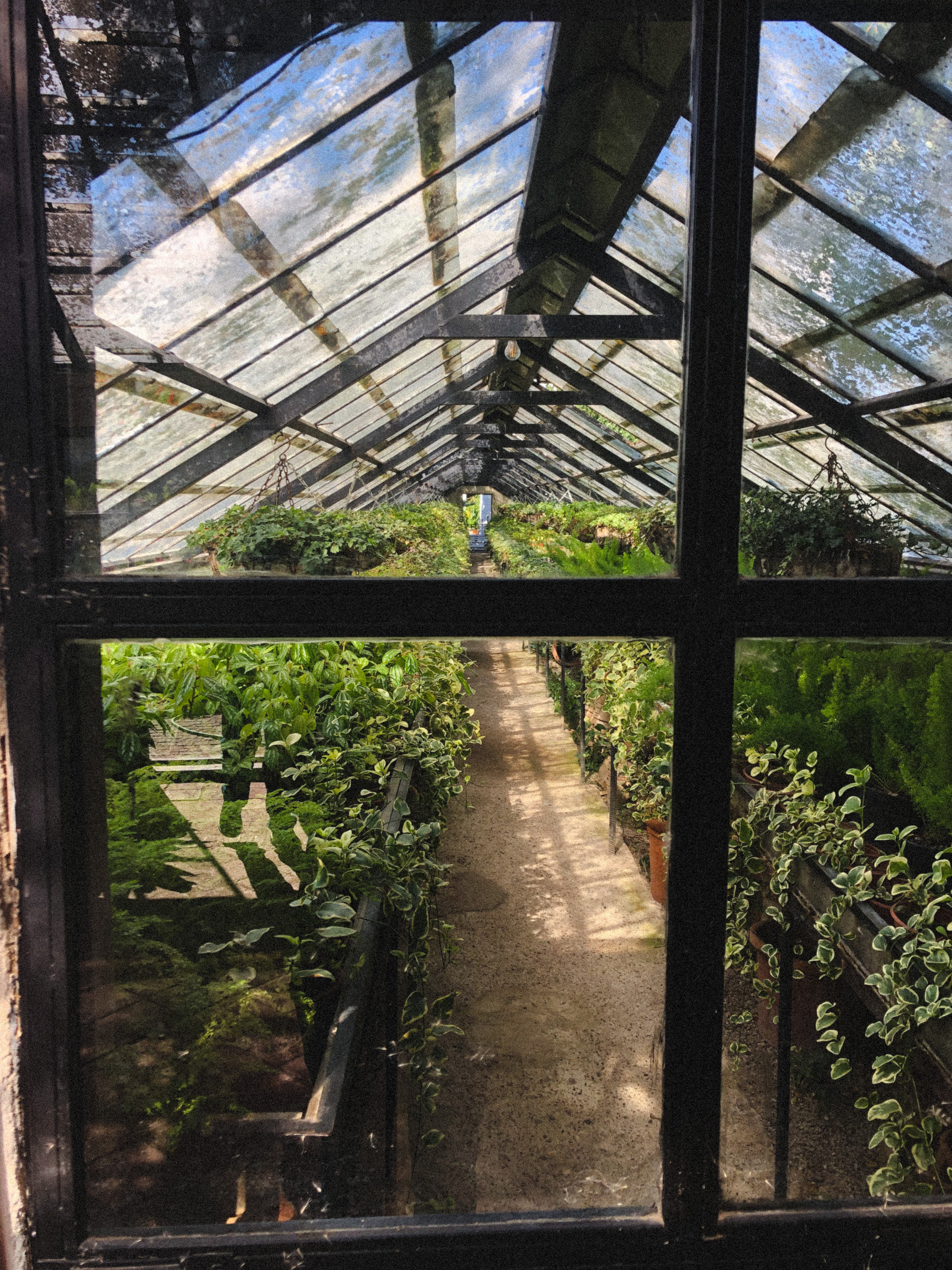 Сад «Гардения» Зураба Шеварднадзе в Тбилиси 🇬🇪. Anita_photo