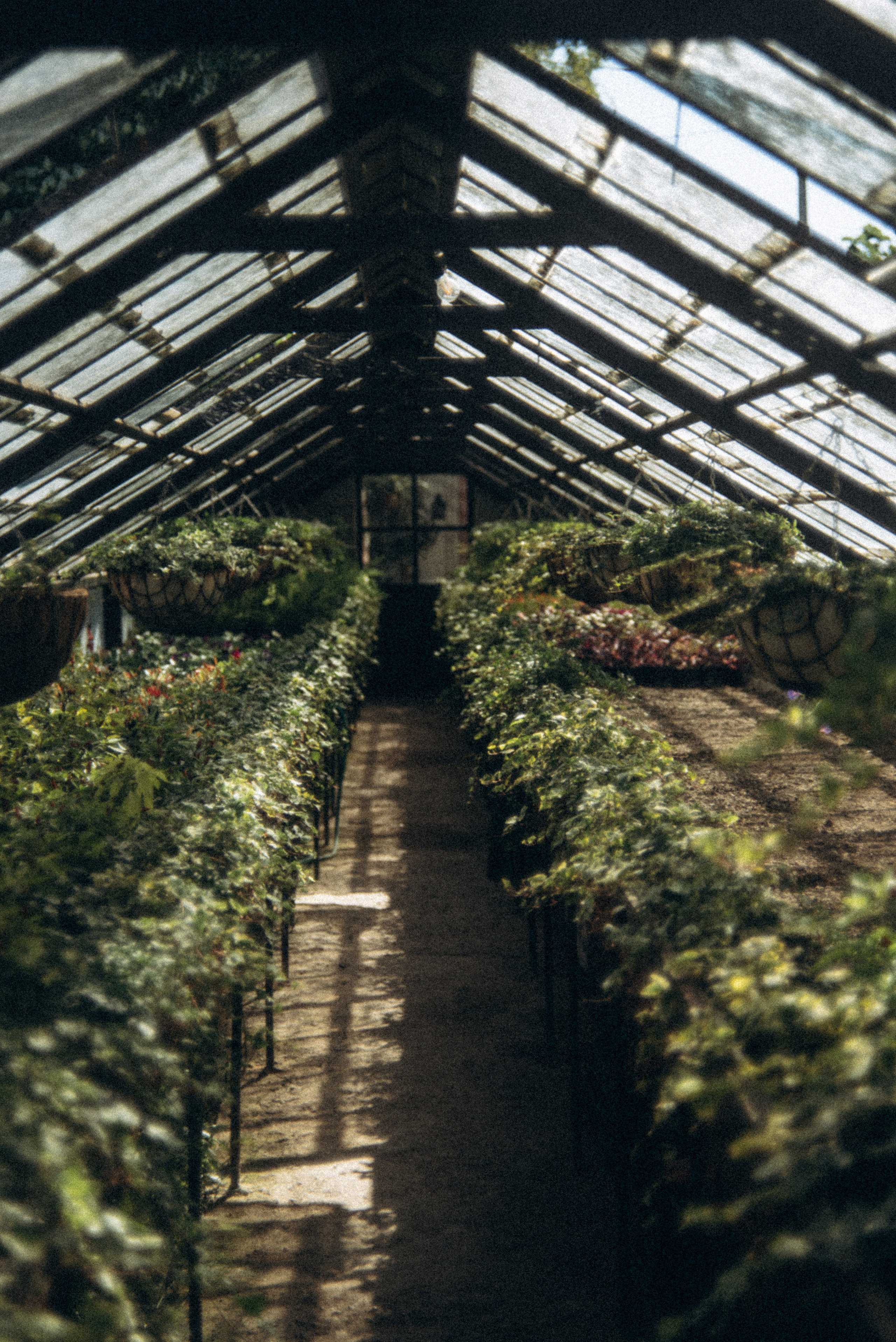 Сад «Гардения» Зураба Шеварднадзе в Тбилиси 🇬🇪. Anita_photo