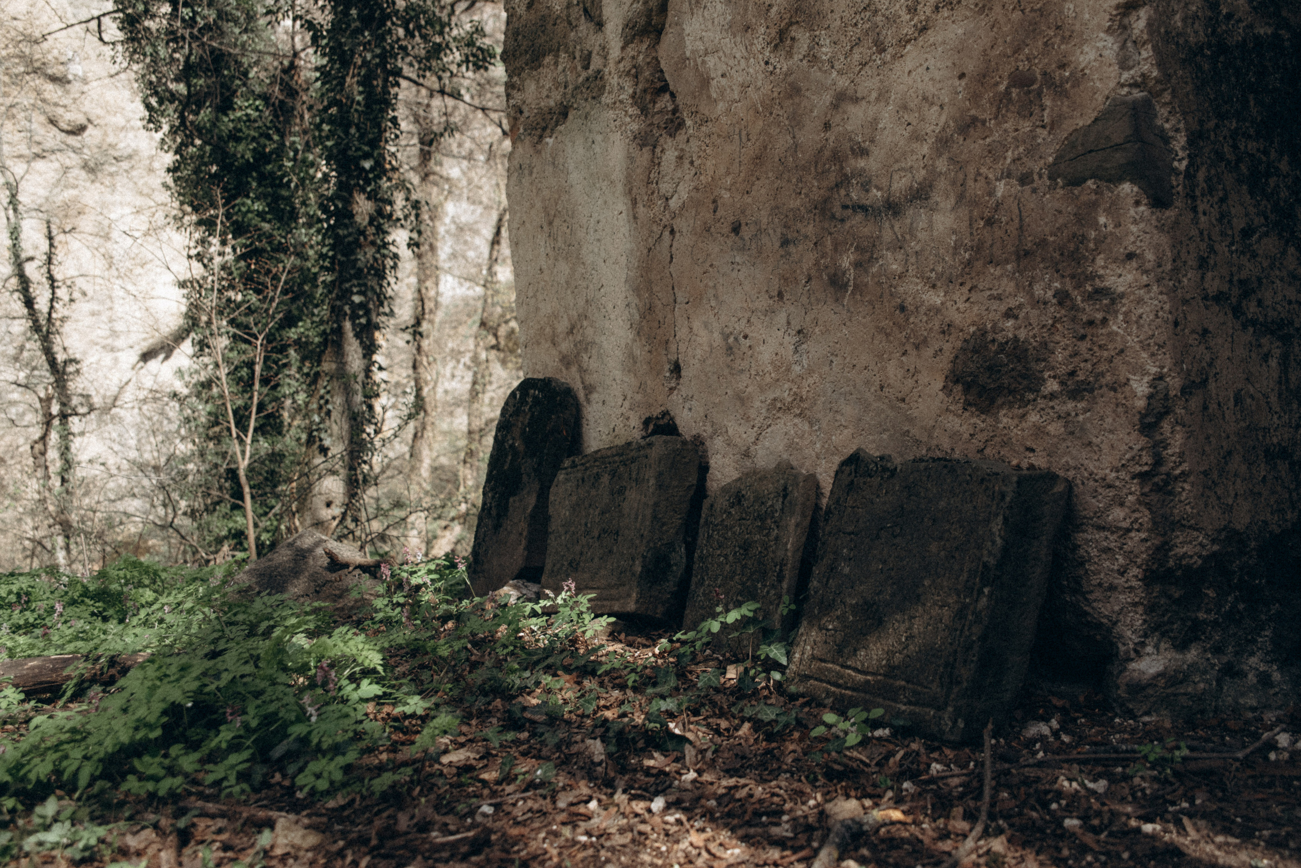 Каньоны Биртвиси, Грузия🇬🇪. Anita_photo