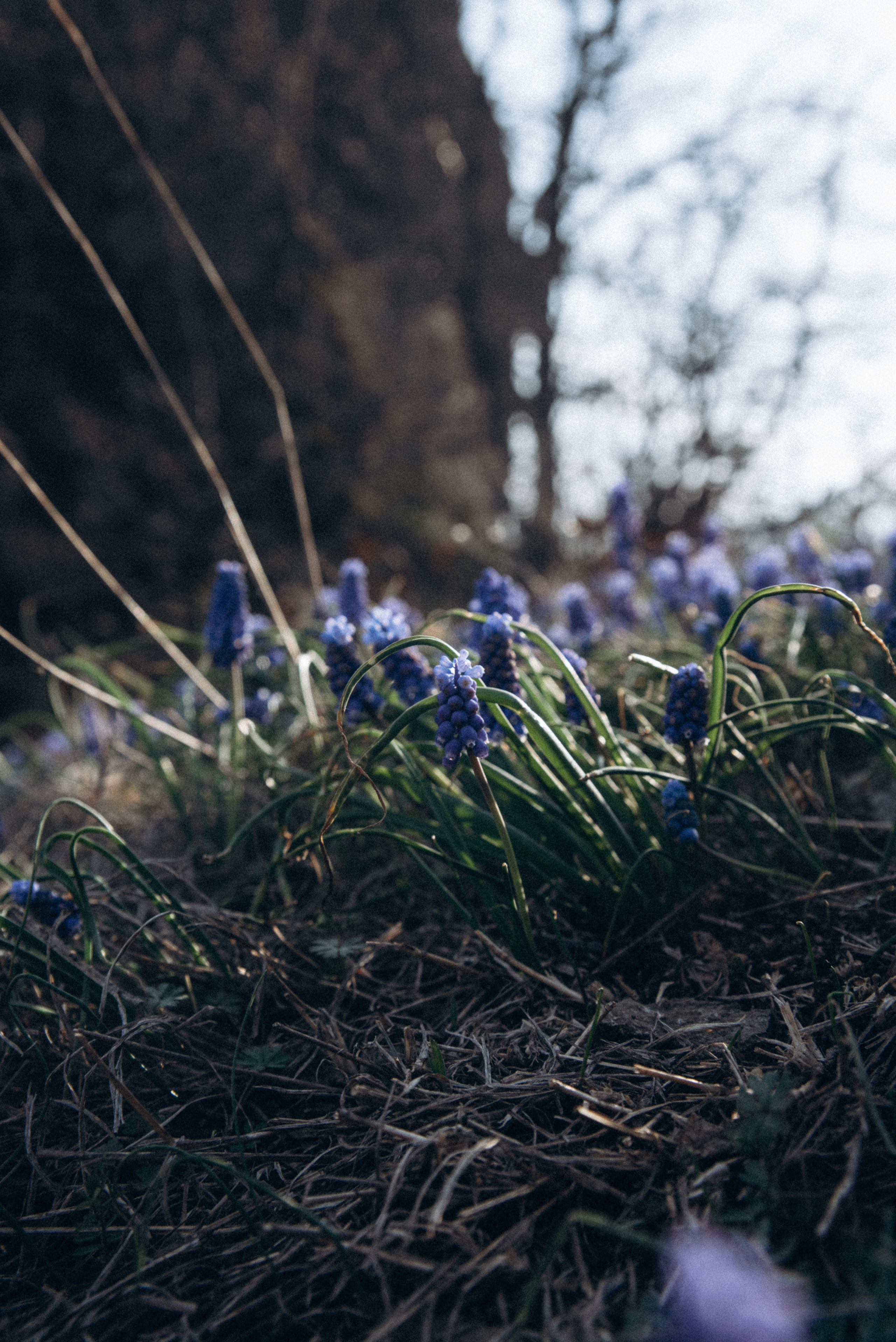 Каньоны Биртвиси, Грузия🇬🇪. Anita_photo