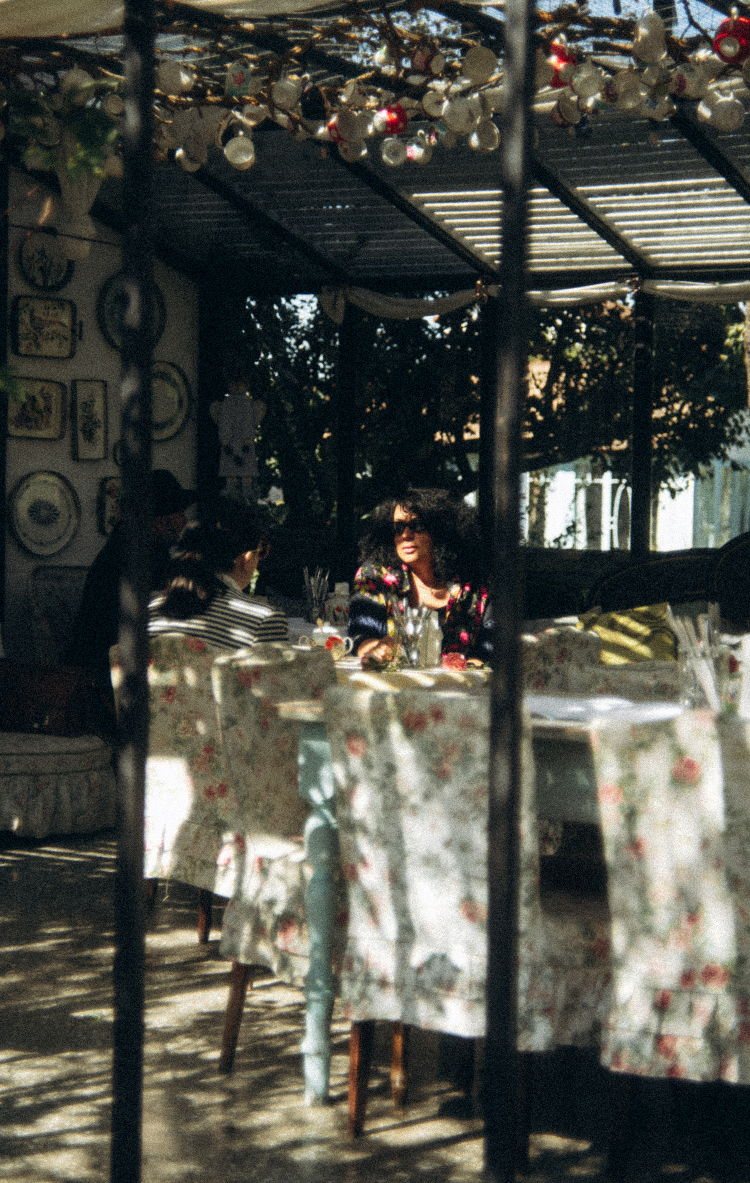 Сад «Гардения» Зураба Шеварднадзе в Тбилиси 🇬🇪. Anita_photo