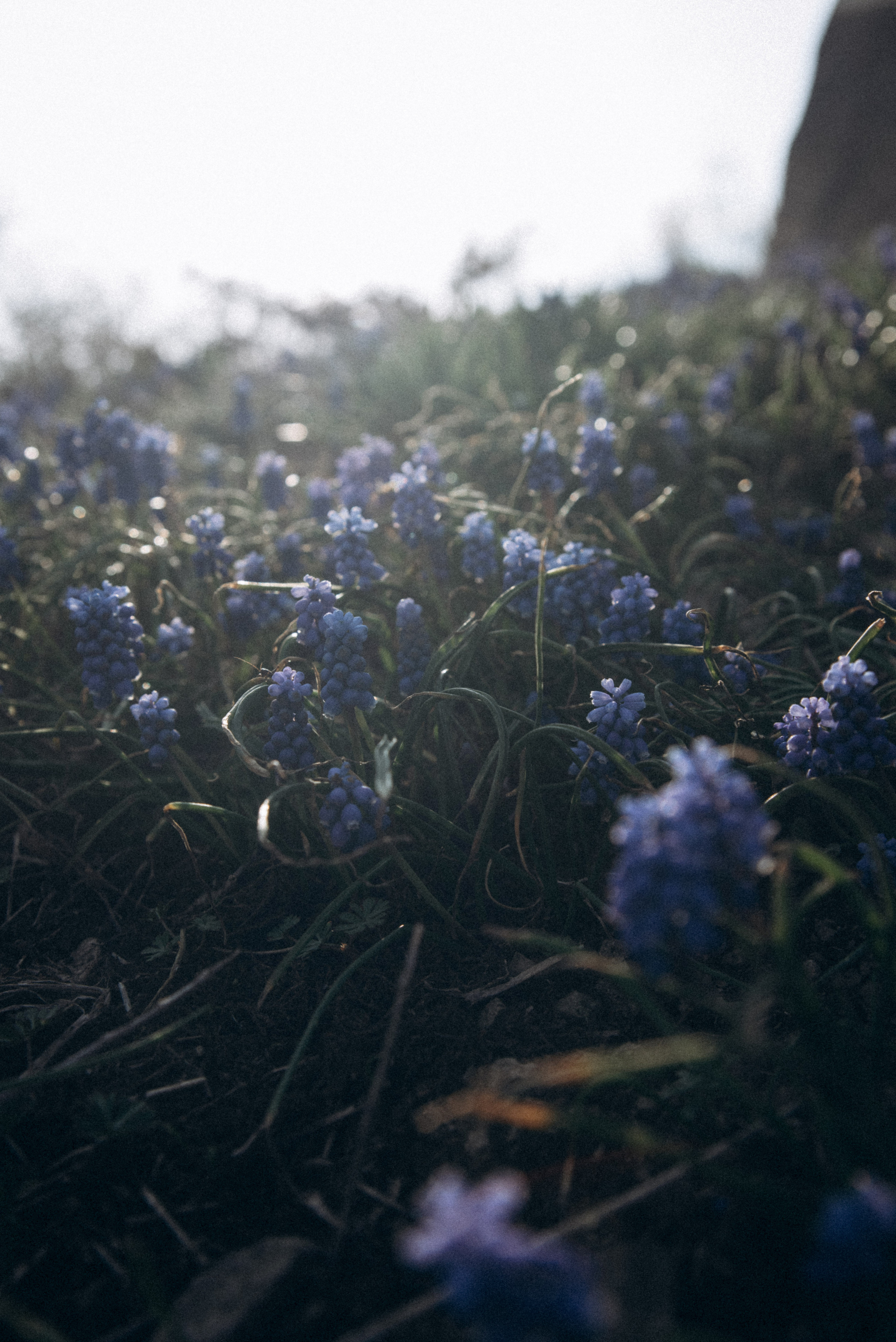 Каньоны Биртвиси, Грузия🇬🇪. Anita_photo