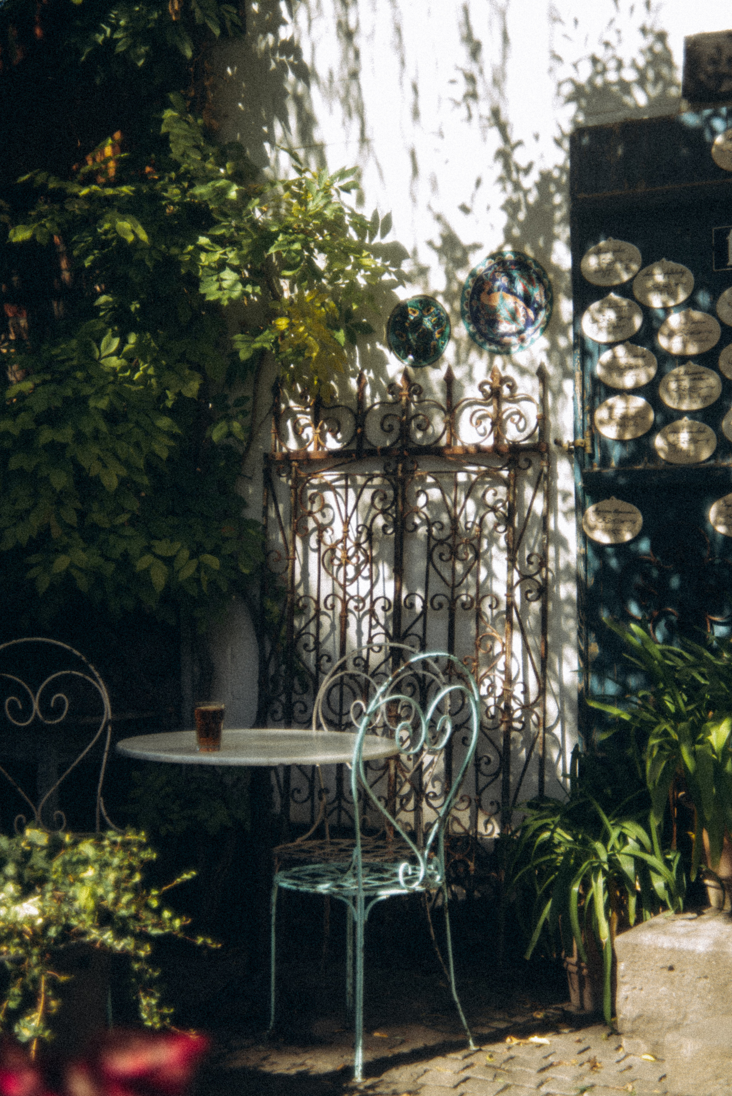 Сад «Гардения» Зураба Шеварднадзе в Тбилиси 🇬🇪. Anita_photo