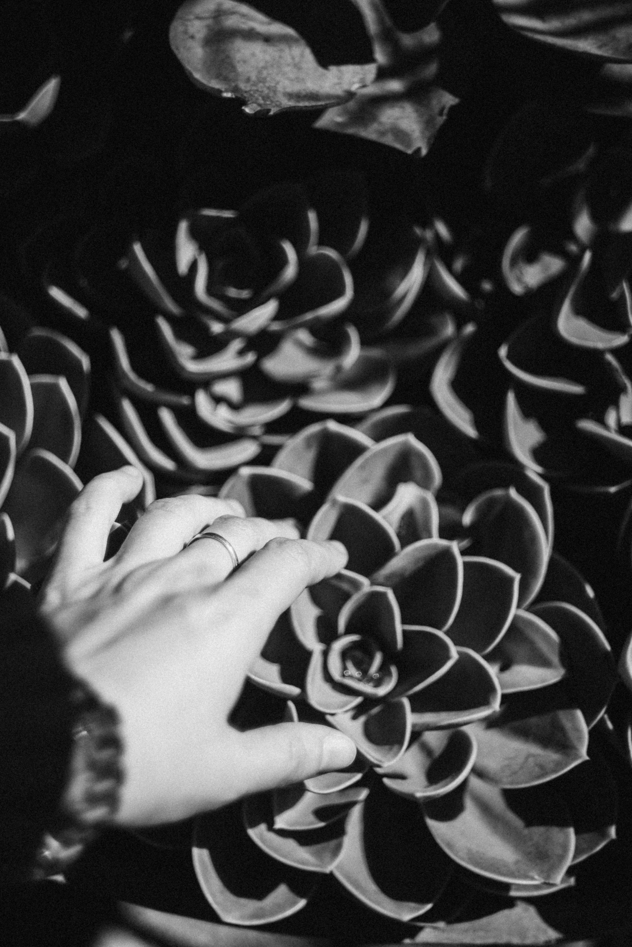 Сад «Гардения» Зураба Шеварднадзе в Тбилиси 🇬🇪. Anita_photo