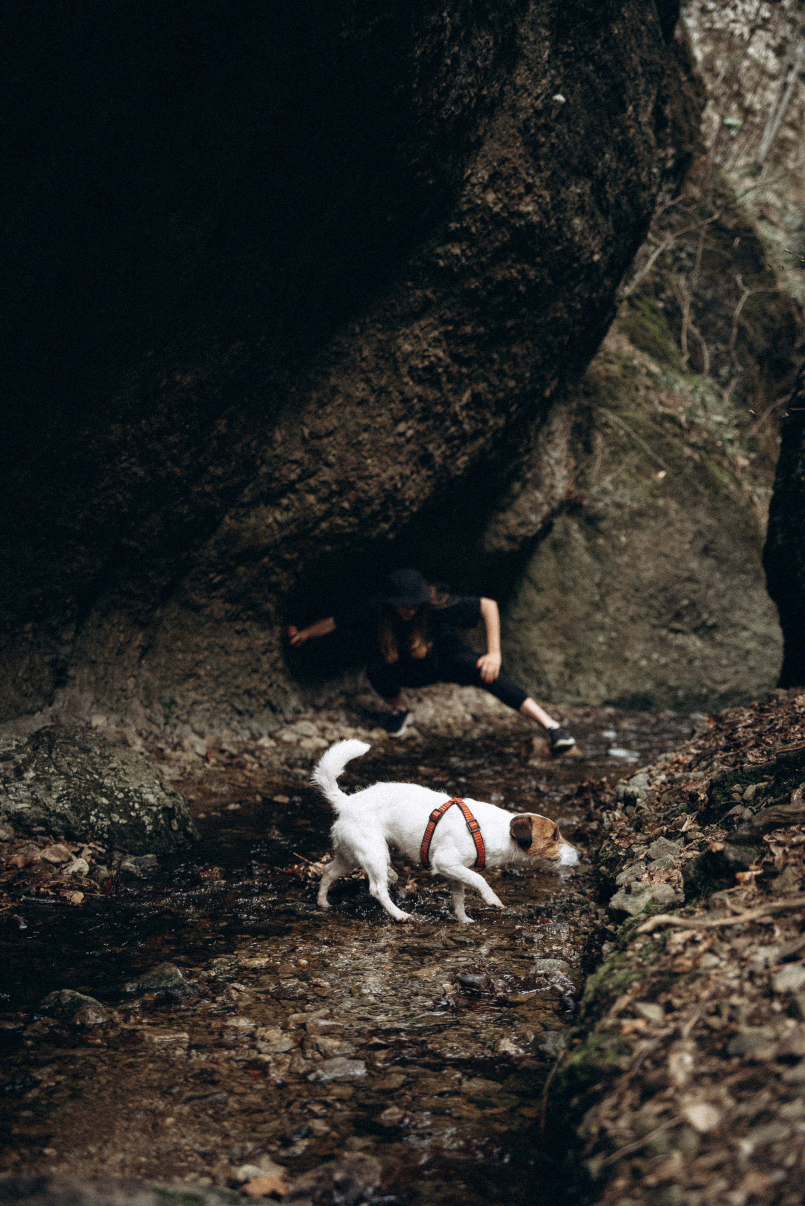 Каньоны Биртвиси, Грузия🇬🇪. Anita_photo