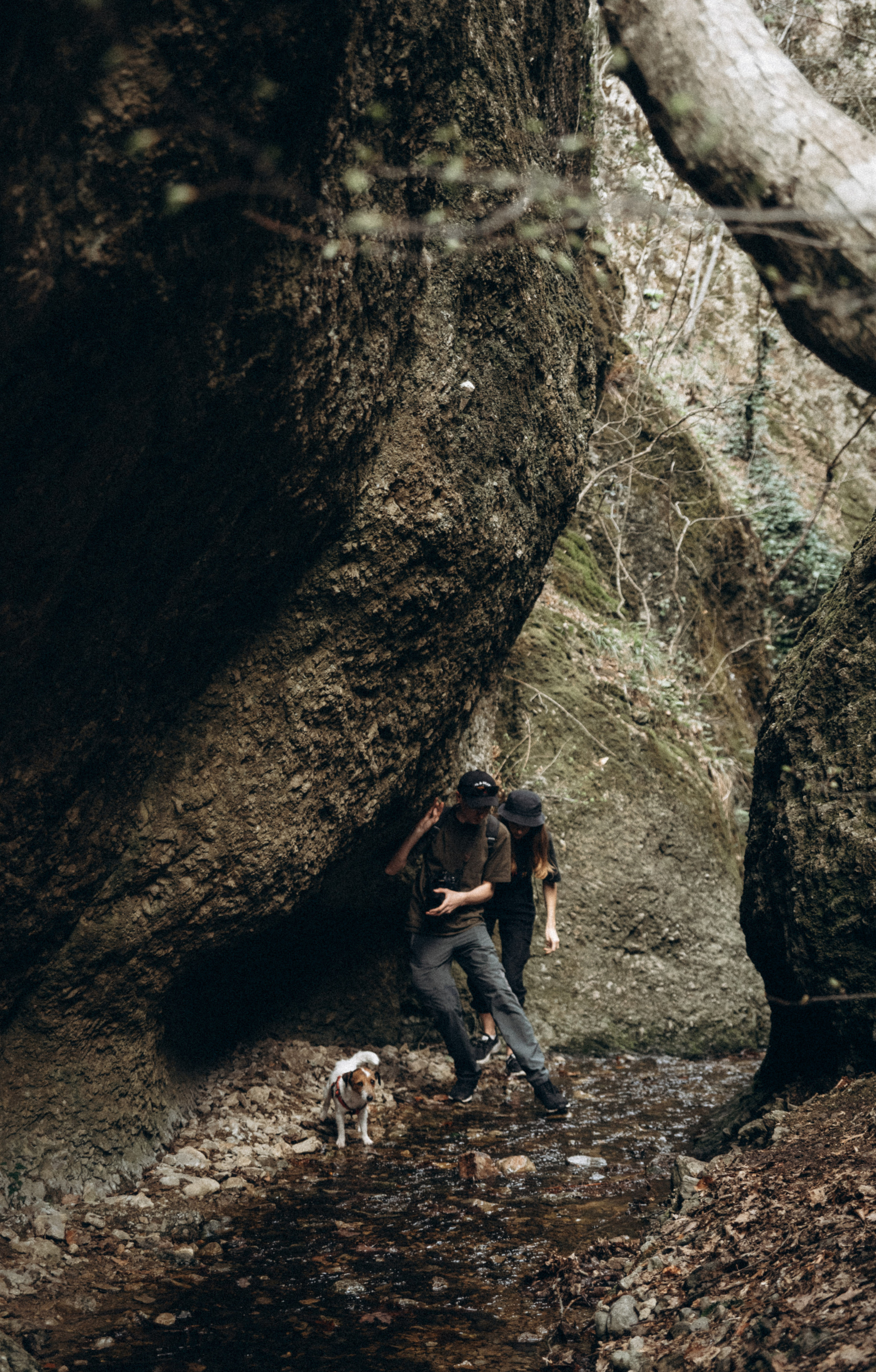 Каньоны Биртвиси, Грузия🇬🇪. Anita_photo