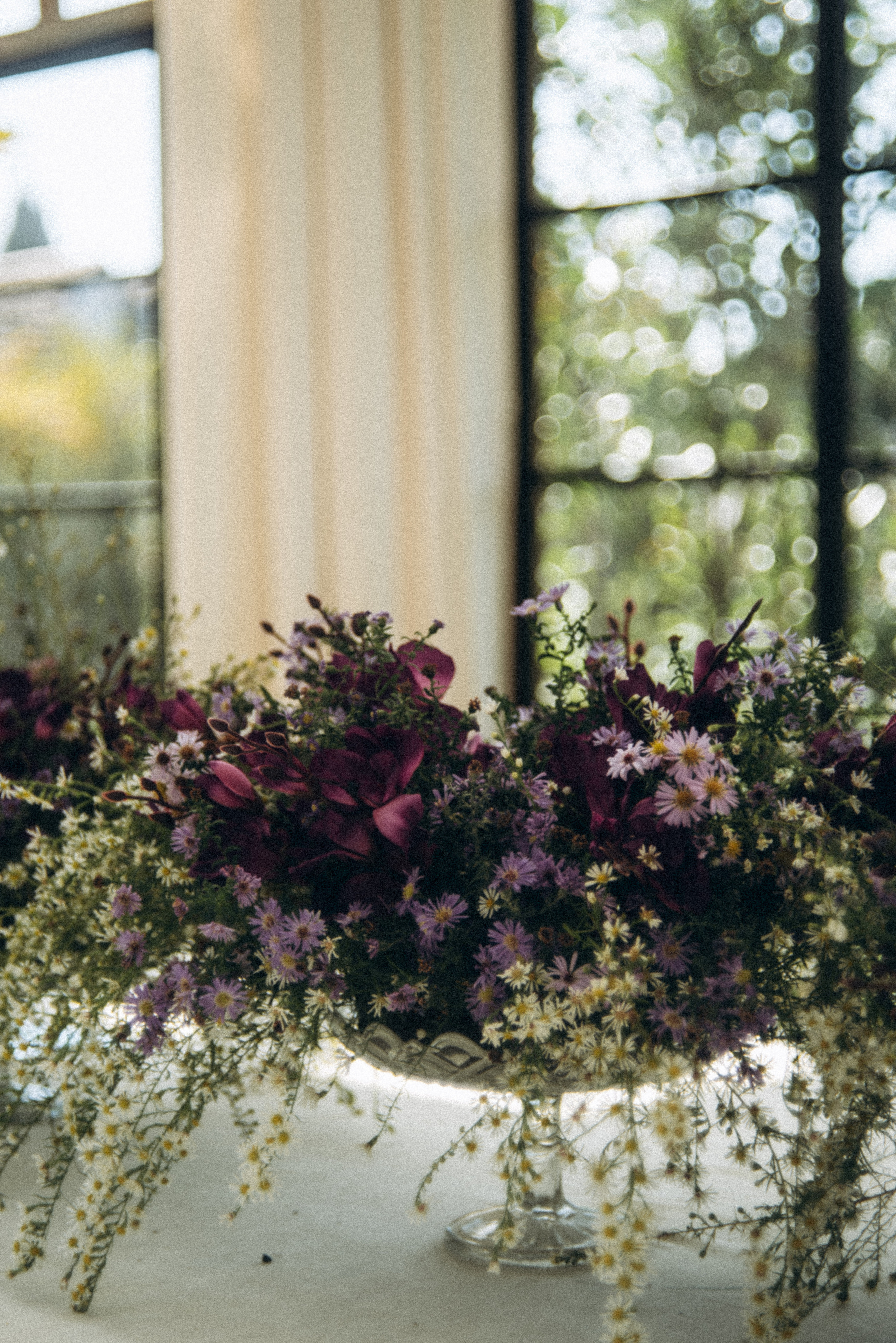 Сад «Гардения» Зураба Шеварднадзе в Тбилиси 🇬🇪. Anita_photo