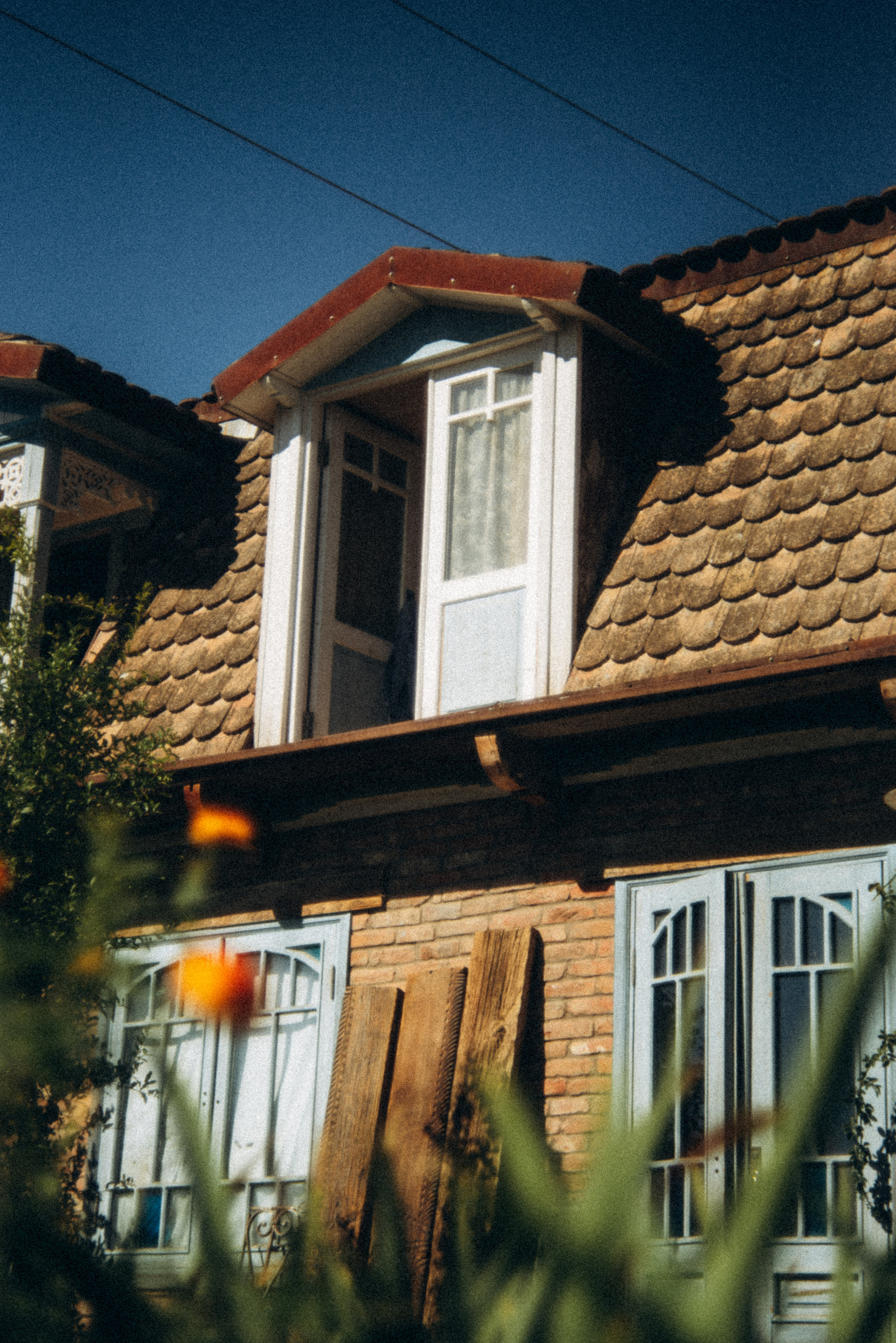 Сад «Гардения» Зураба Шеварднадзе в Тбилиси 🇬🇪. Anita_photo