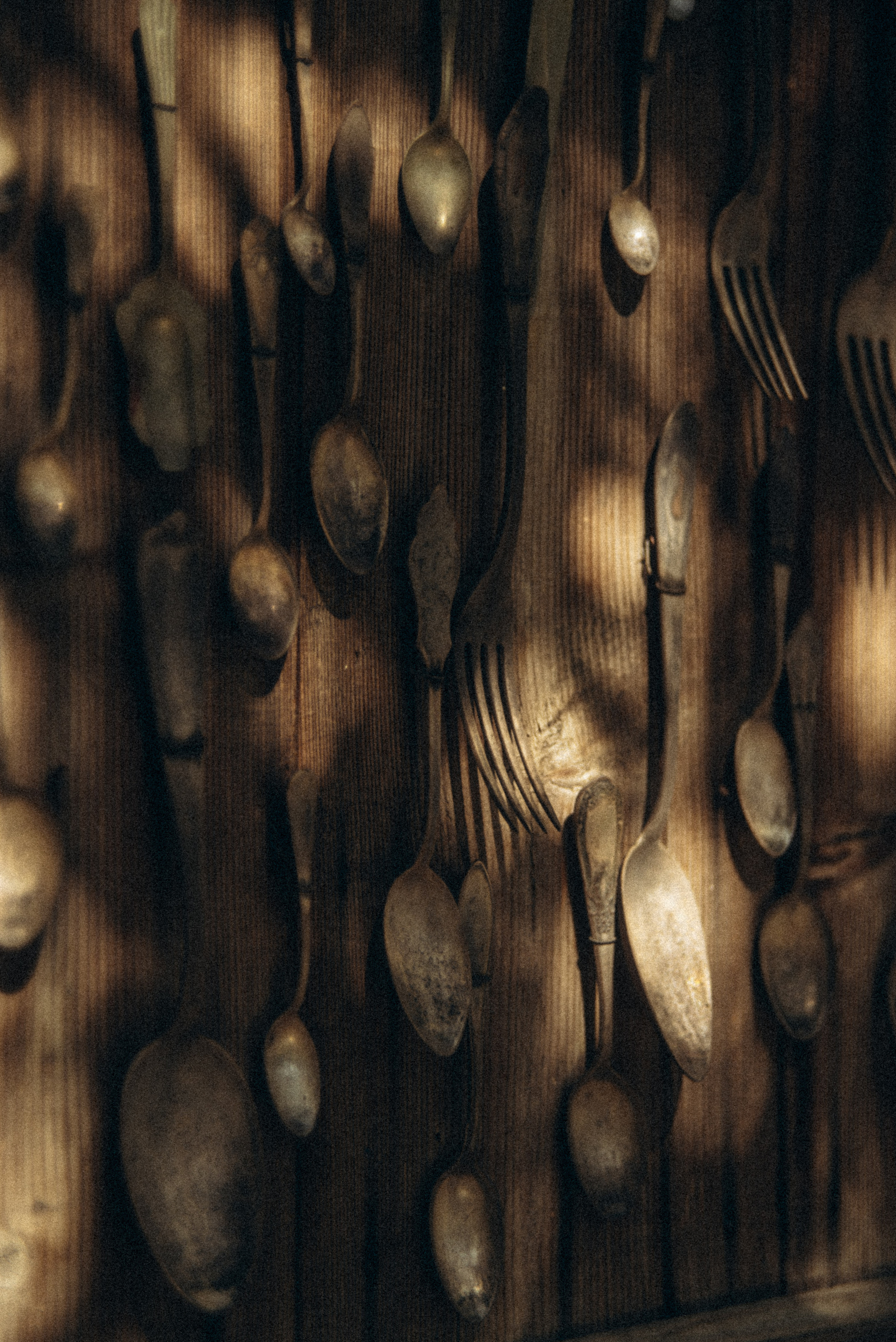 Сад «Гардения» Зураба Шеварднадзе в Тбилиси 🇬🇪. Anita_photo