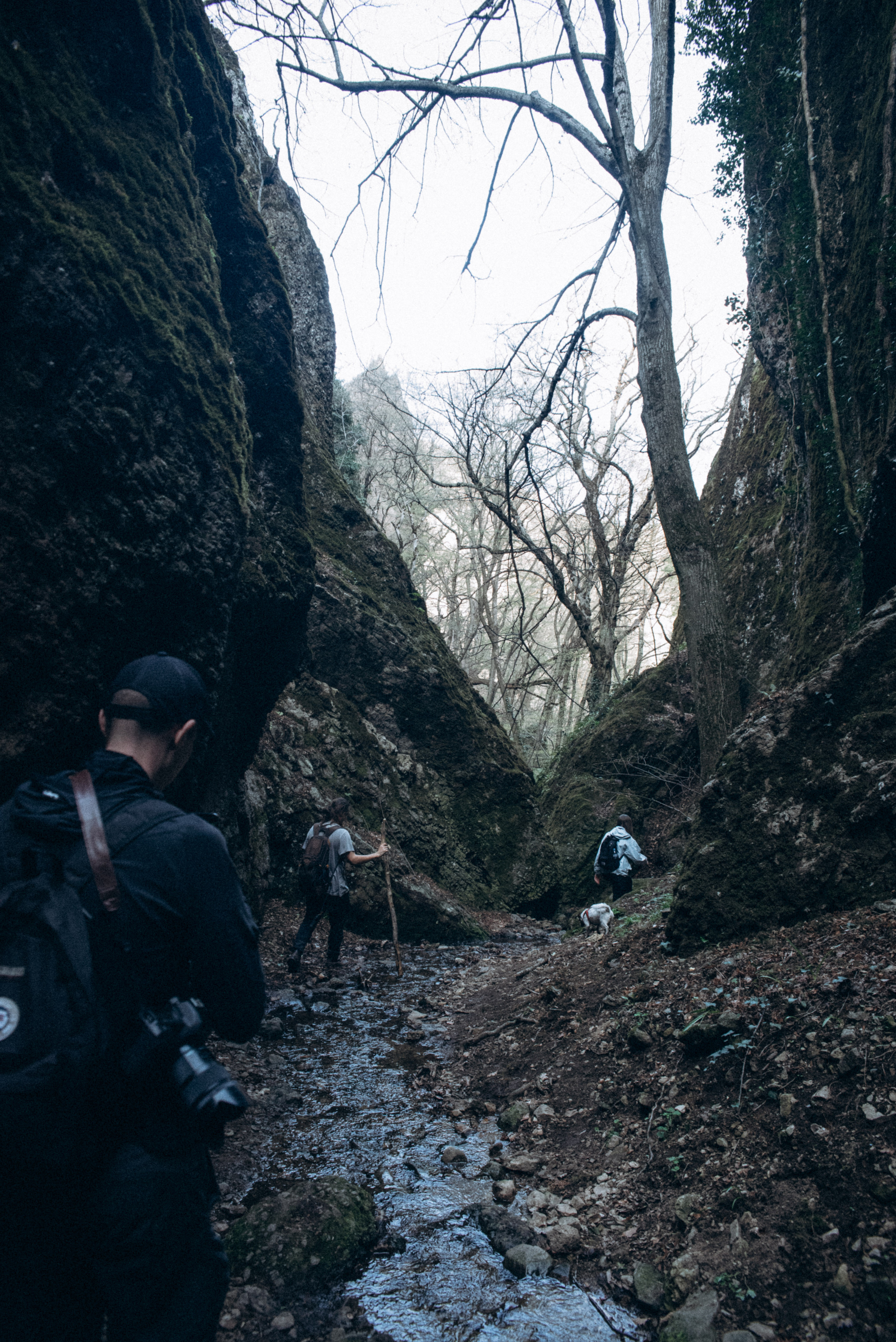 Каньоны Биртвиси, Грузия🇬🇪. Anita_photo