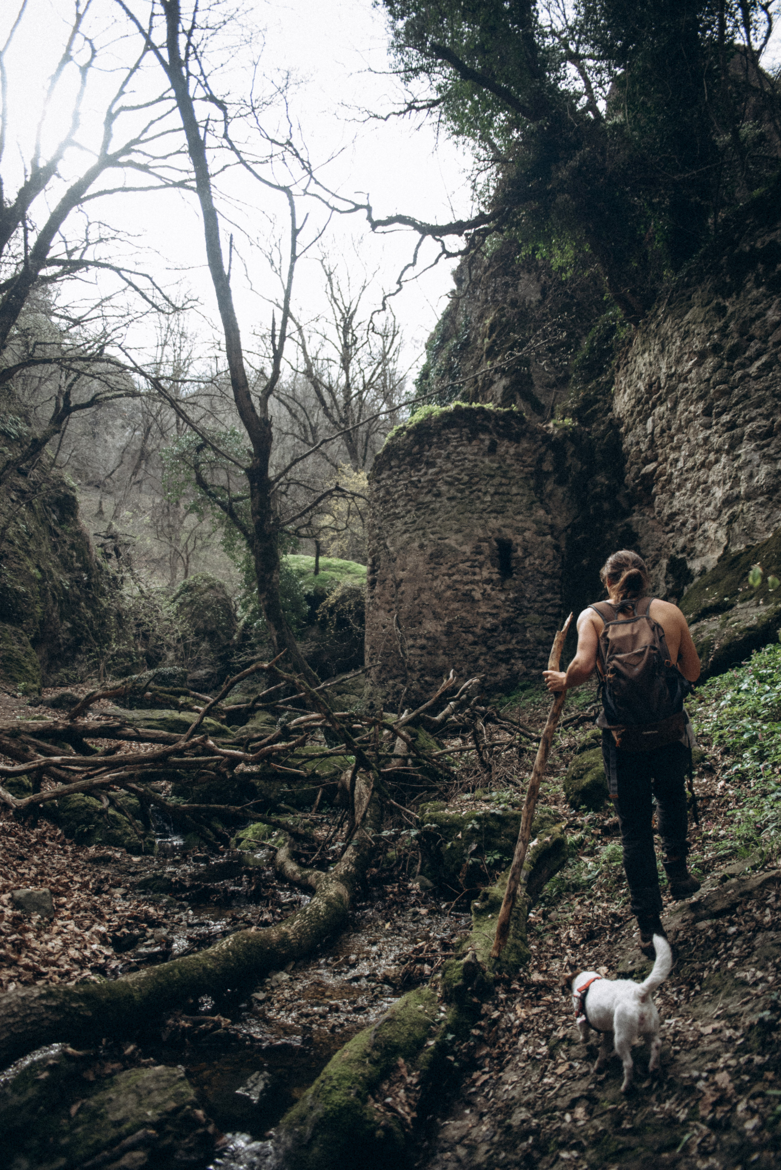 Каньоны Биртвиси, Грузия🇬🇪. Anita_photo