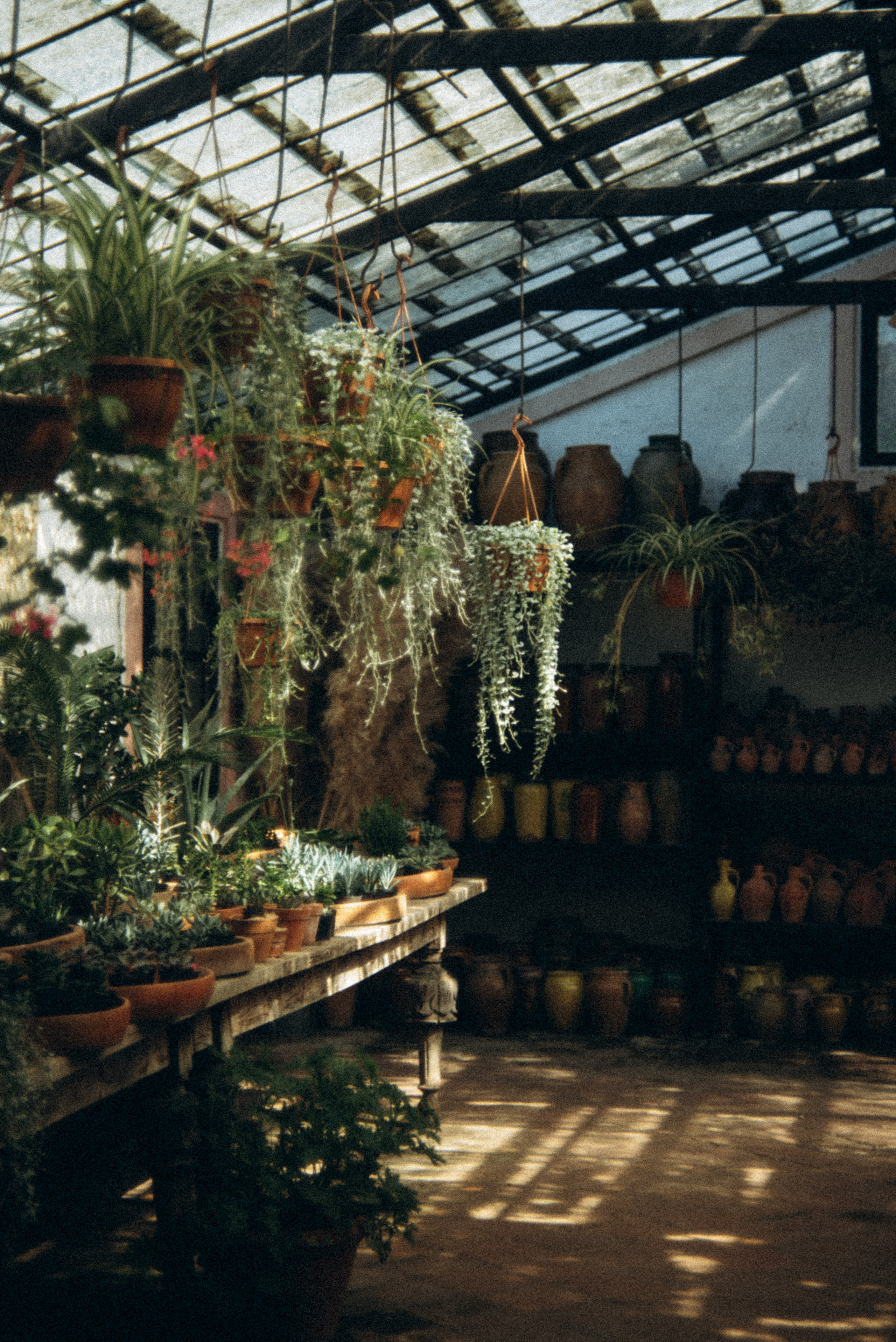 Сад «Гардения» Зураба Шеварднадзе в Тбилиси 🇬🇪. Anita_photo