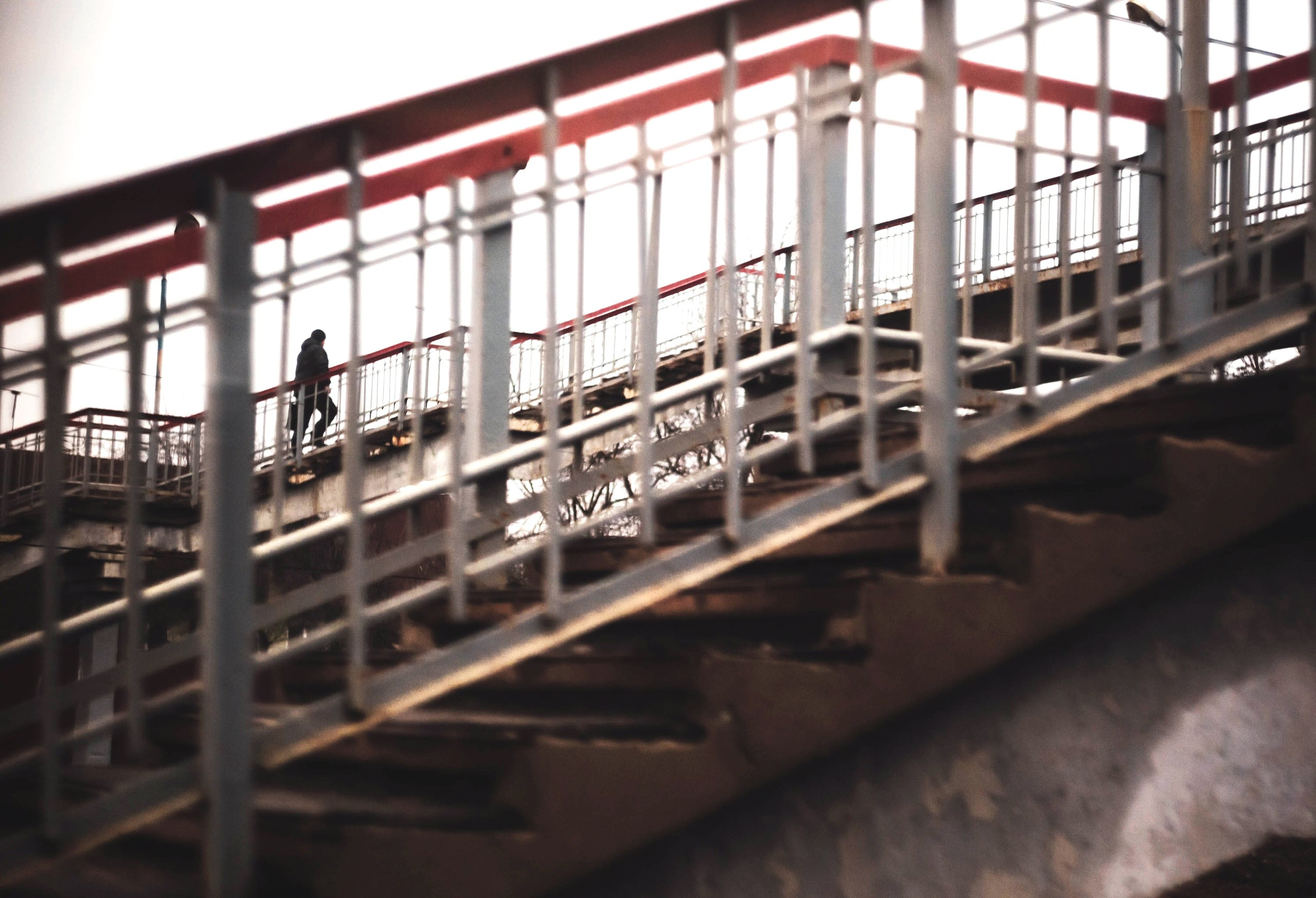 Уличный. Фотограф Арсений Королев