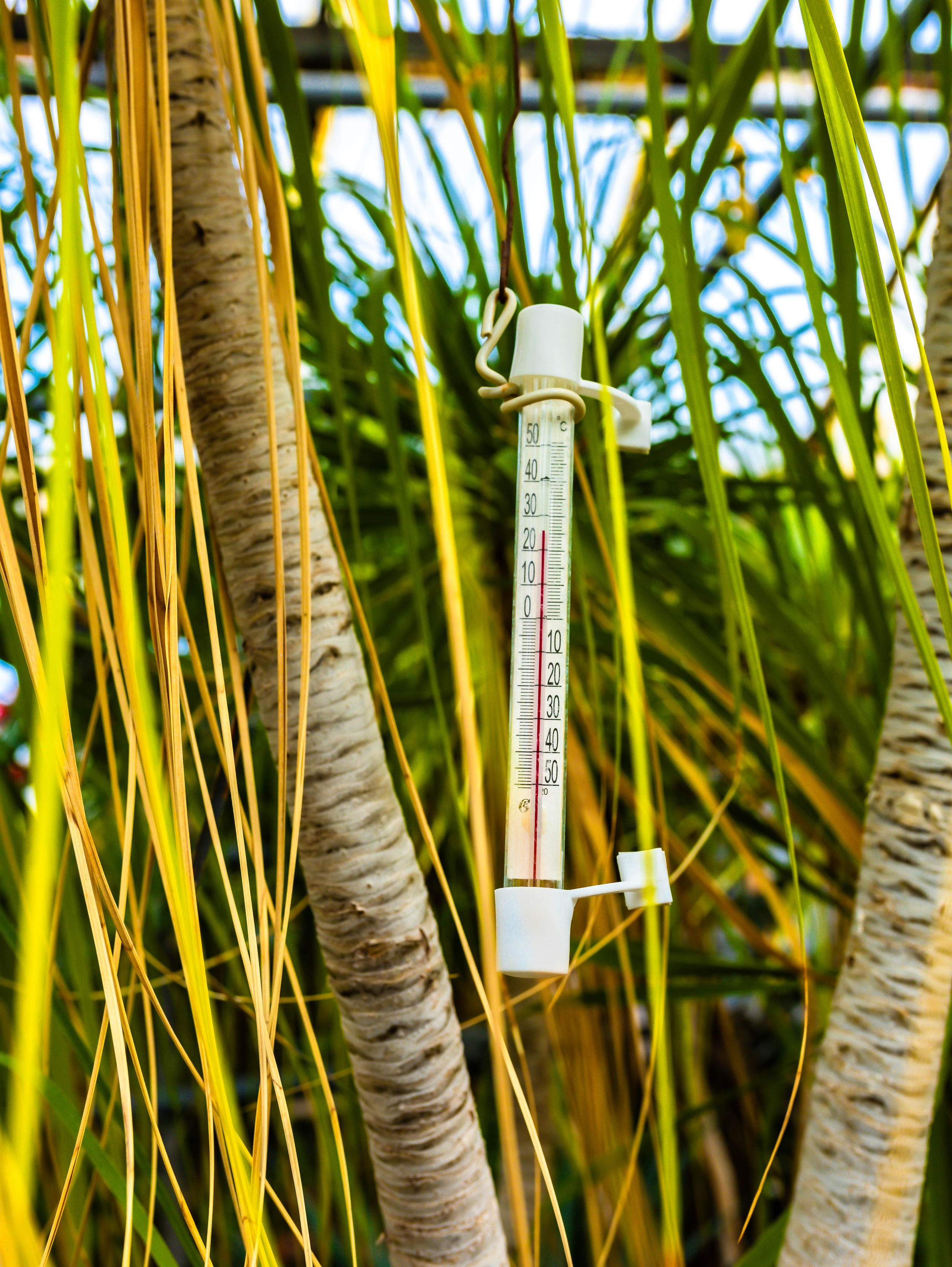 Фотографии природы Липецка. Свадебный и семейный фотограф Виолетта в Липецке