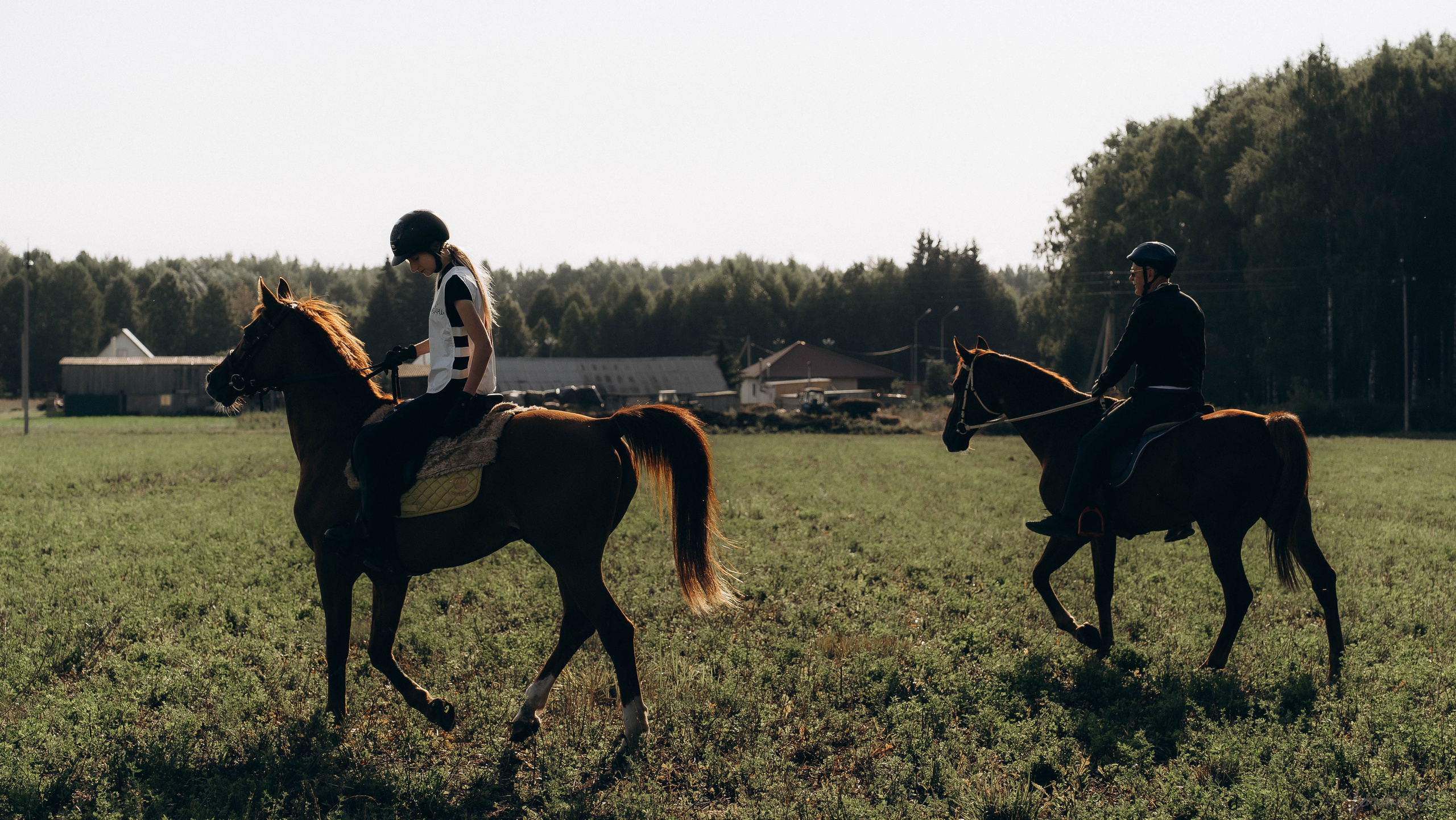 День Коня. Алиса Никитцова | Фотограф в Казани