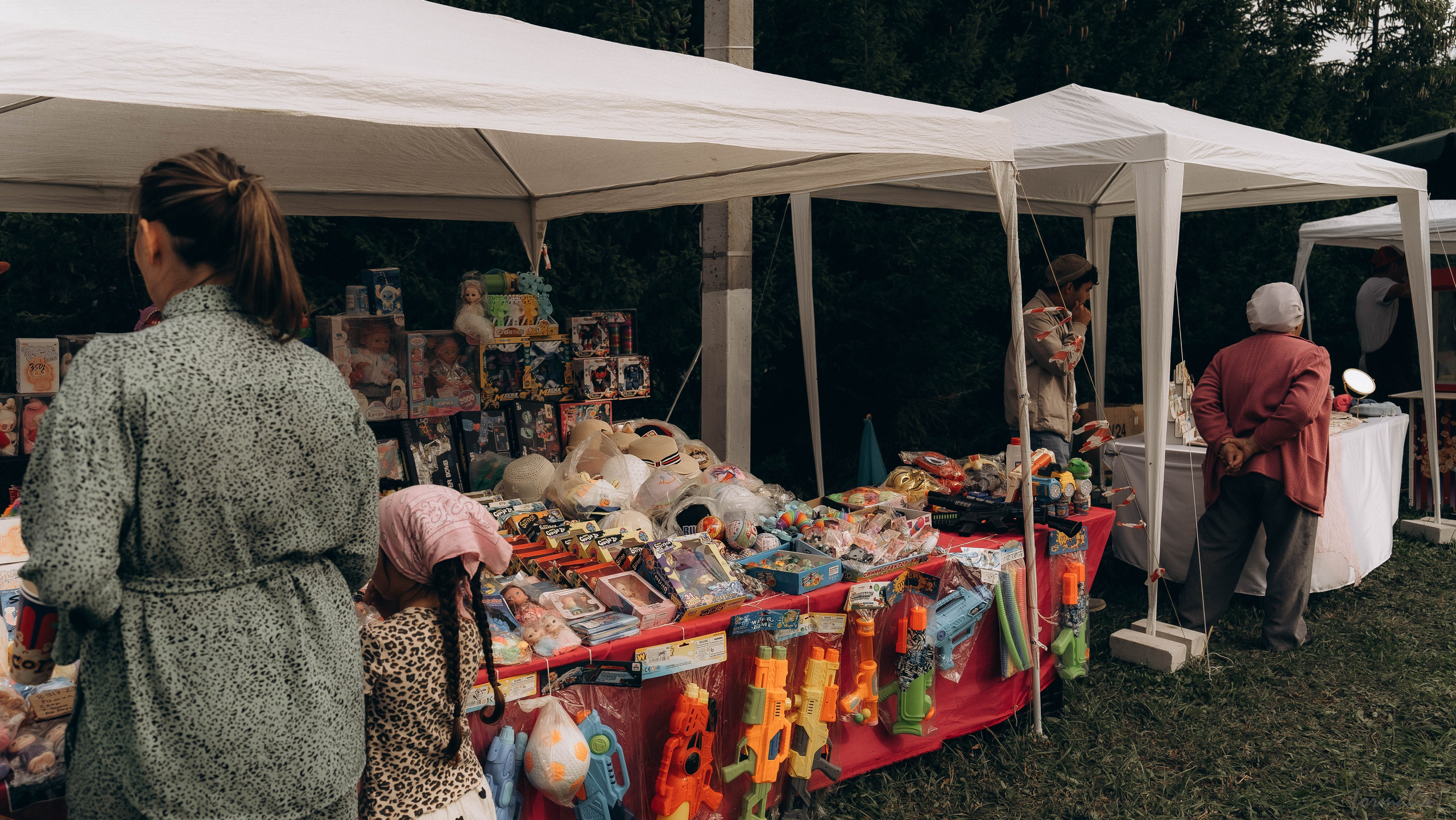 День Коня. Алиса Никитцова | Фотограф в Казани