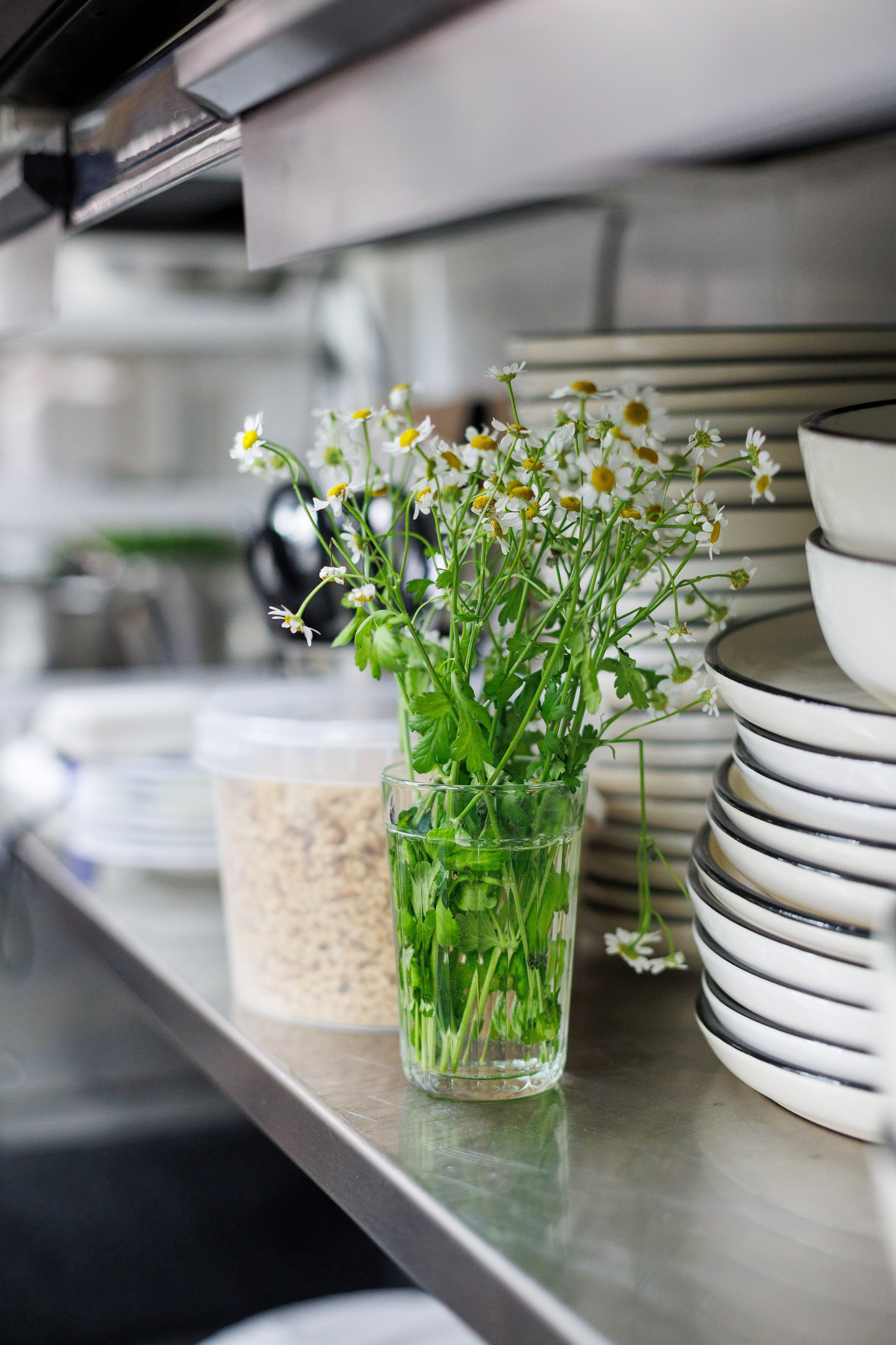 Гастроужин в винном баре ЛЕДНИКЪ. Фотограф Шейдаев Эмин г. Волгоград