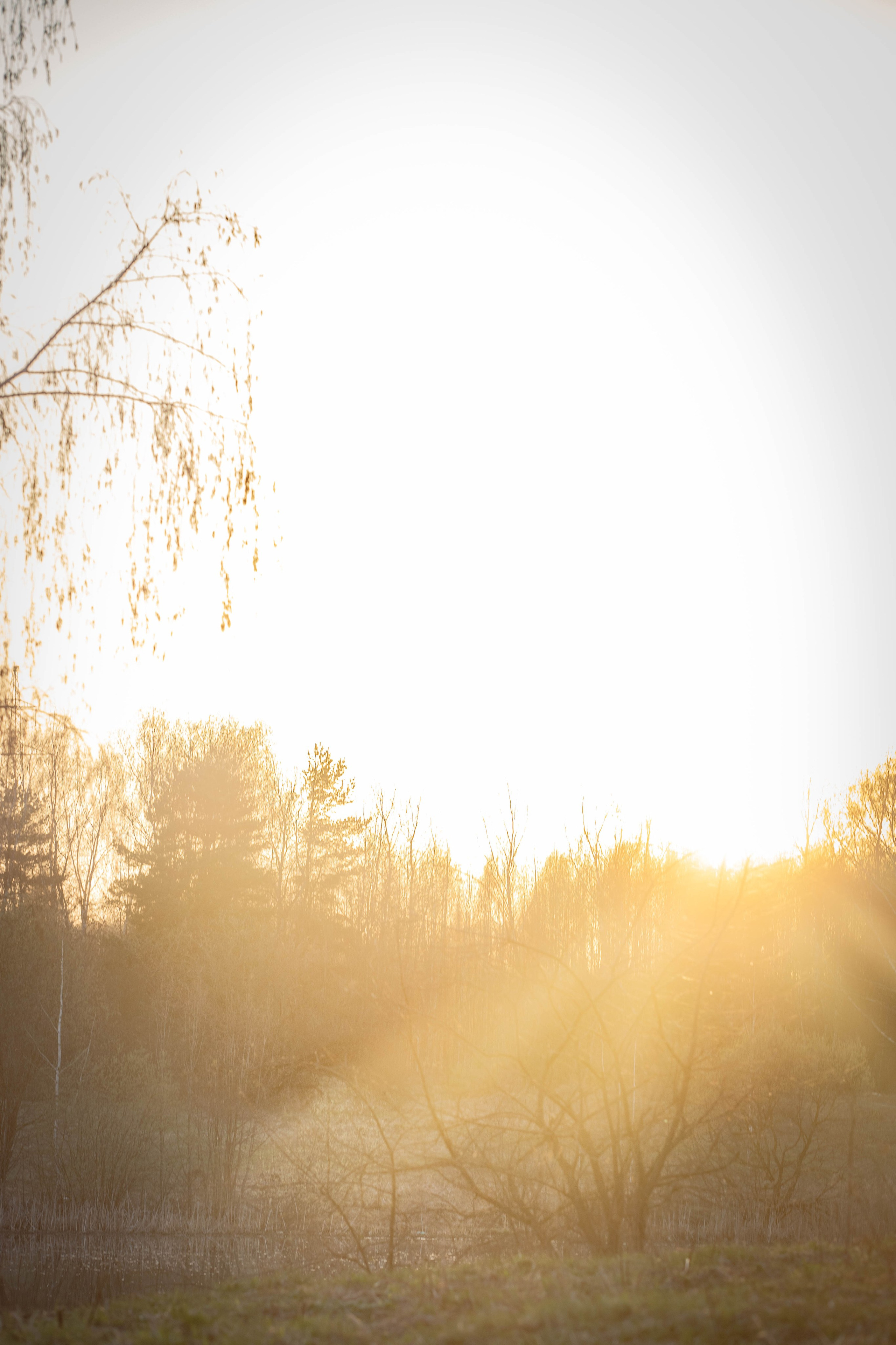 Open Band trail «Мгла». Александра Мельниченко/ Бегающий фотограф