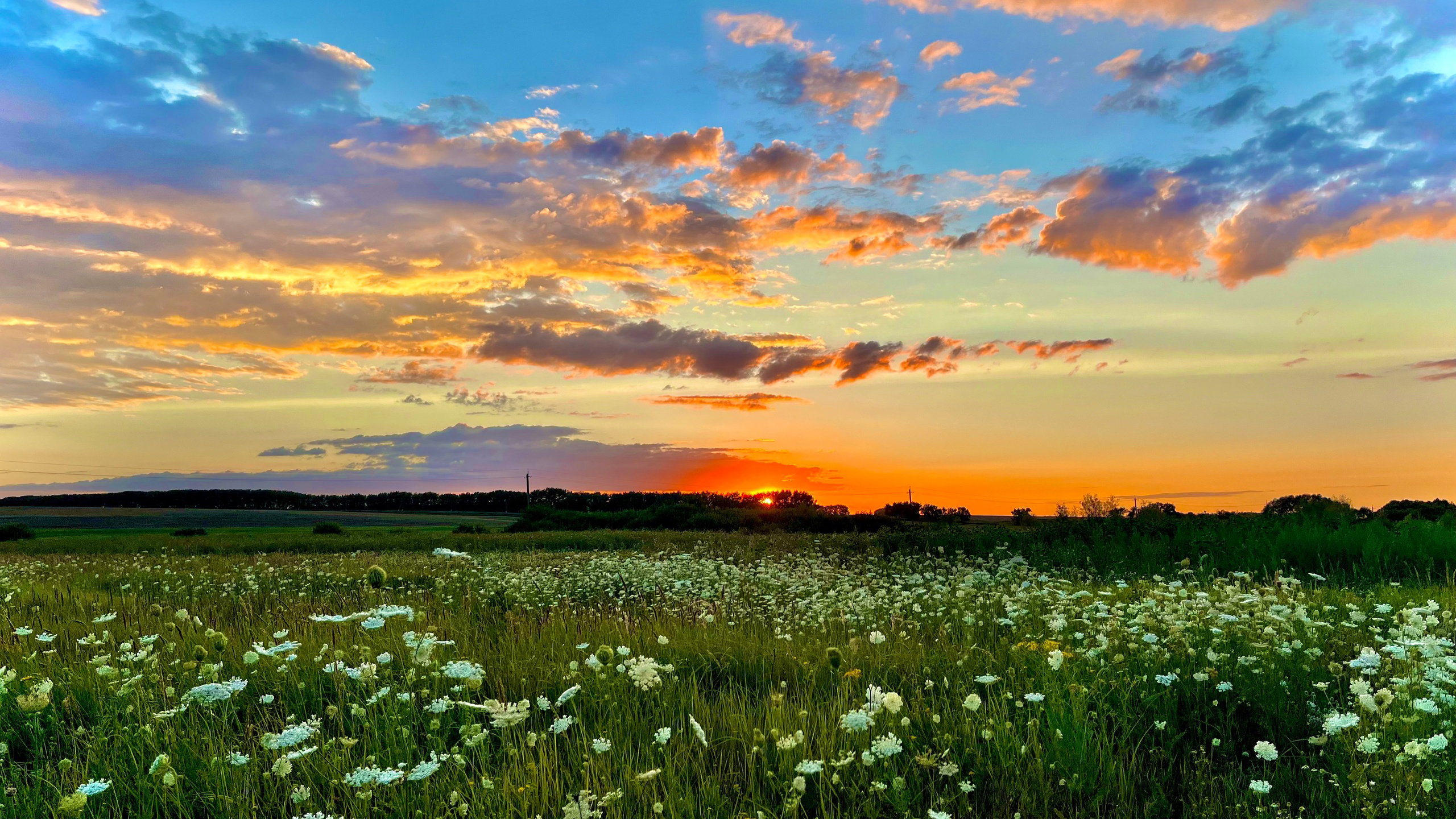 Закат природы. Фотограф природных объектов