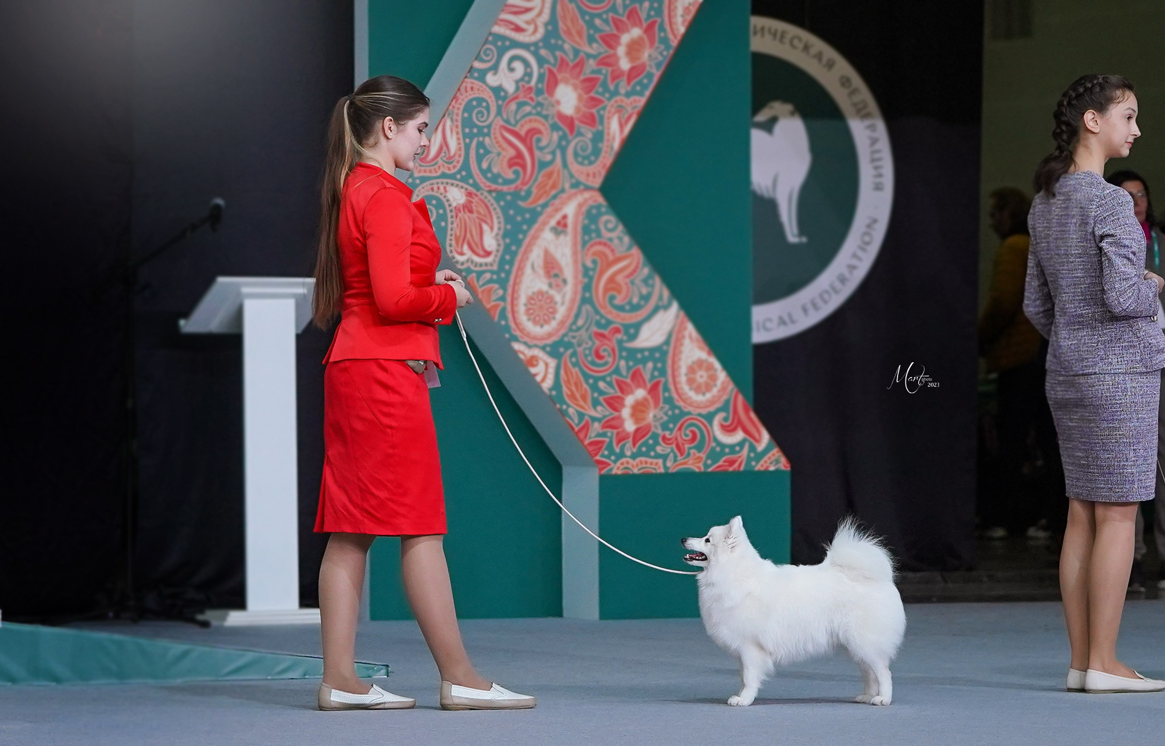 Выставки 2023. Фотограф-анималист в Санкт-Петербурге Яна Мартынова